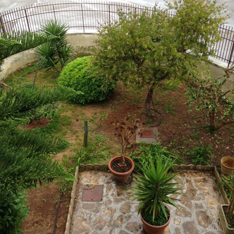 B&B Casa Letizia Appartamento al piano terra