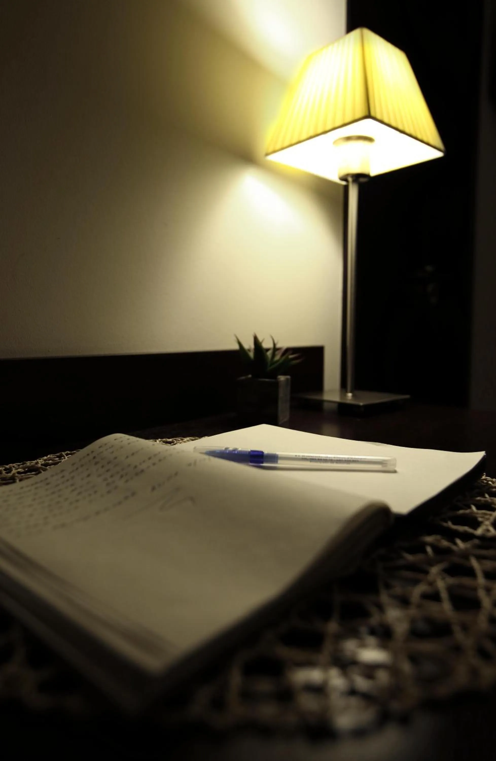 Hotel Rural - El Rincón de Don Pelayo