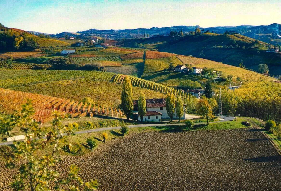 Autumn in Cà 'd Langa B&B