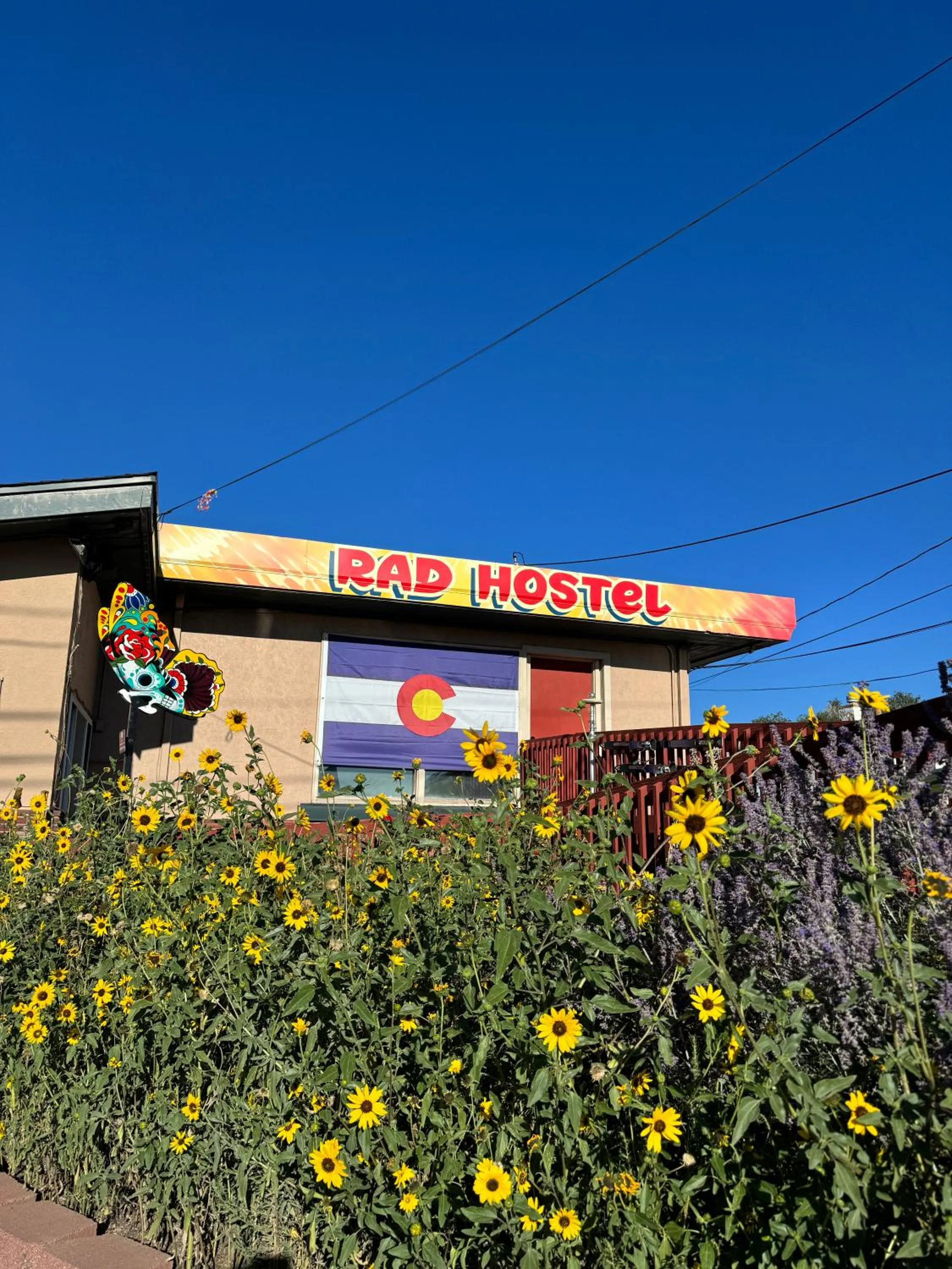 Property building in RAD Hostel