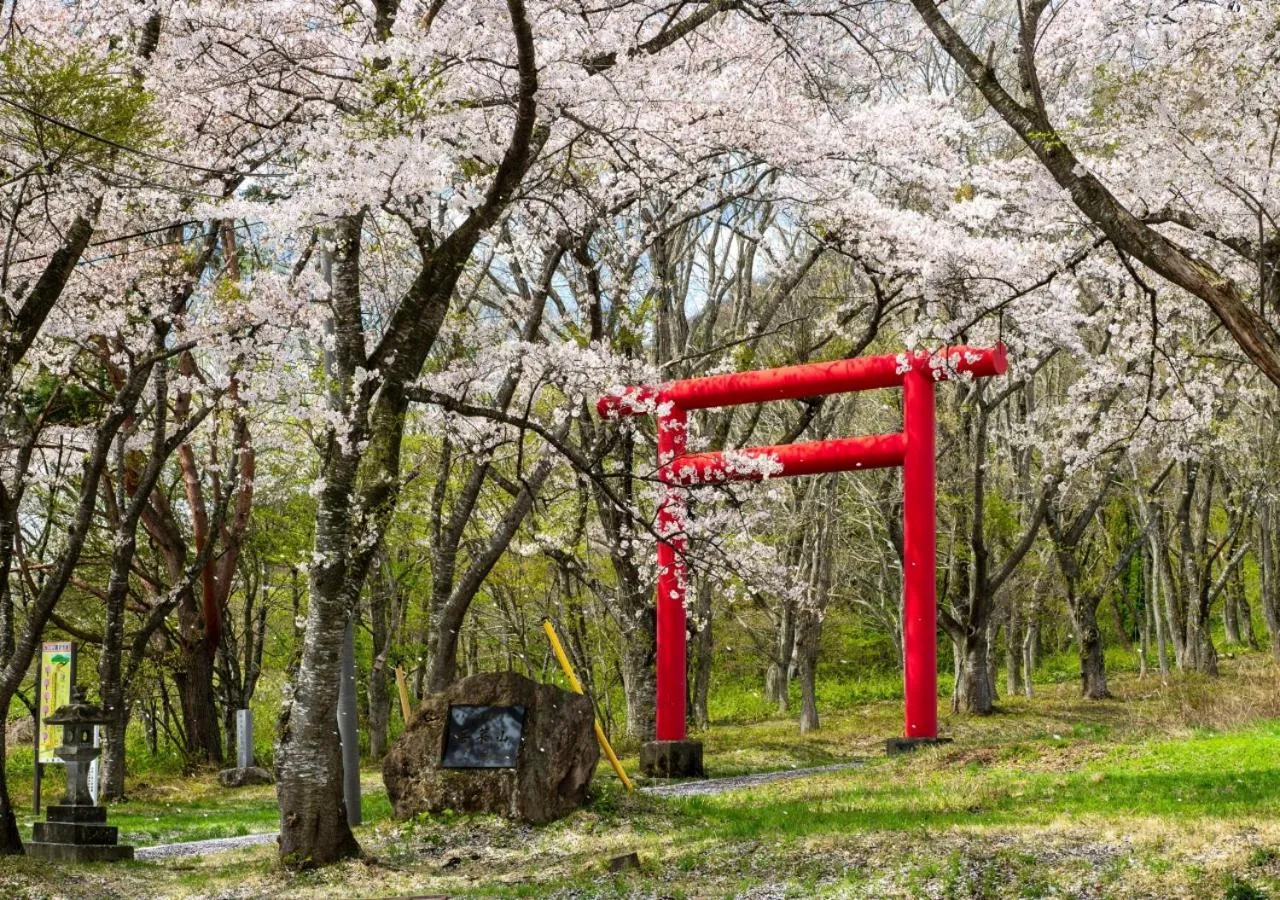 Spring in Pension Kamifuji