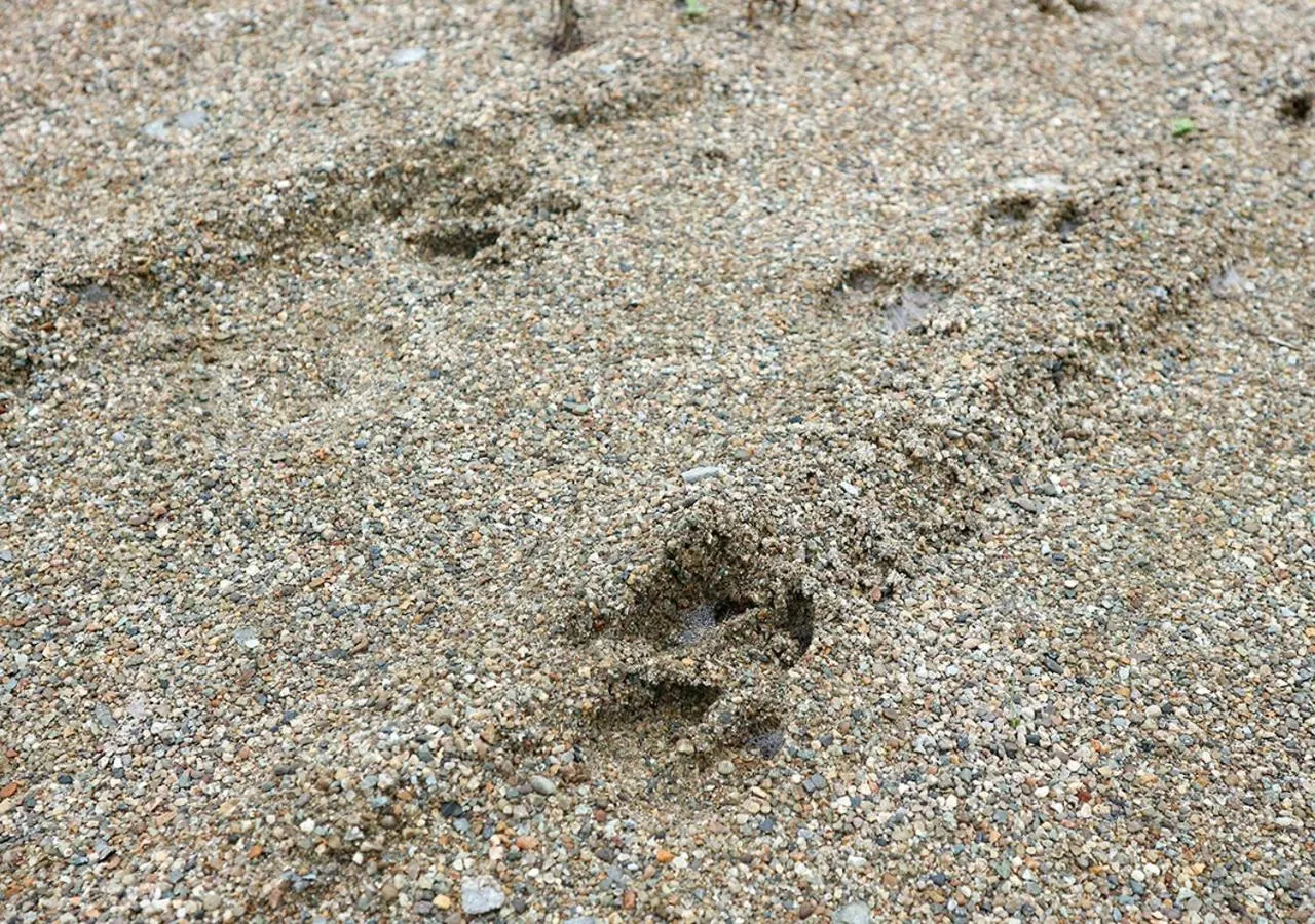 Off site in Pension Kamifuji