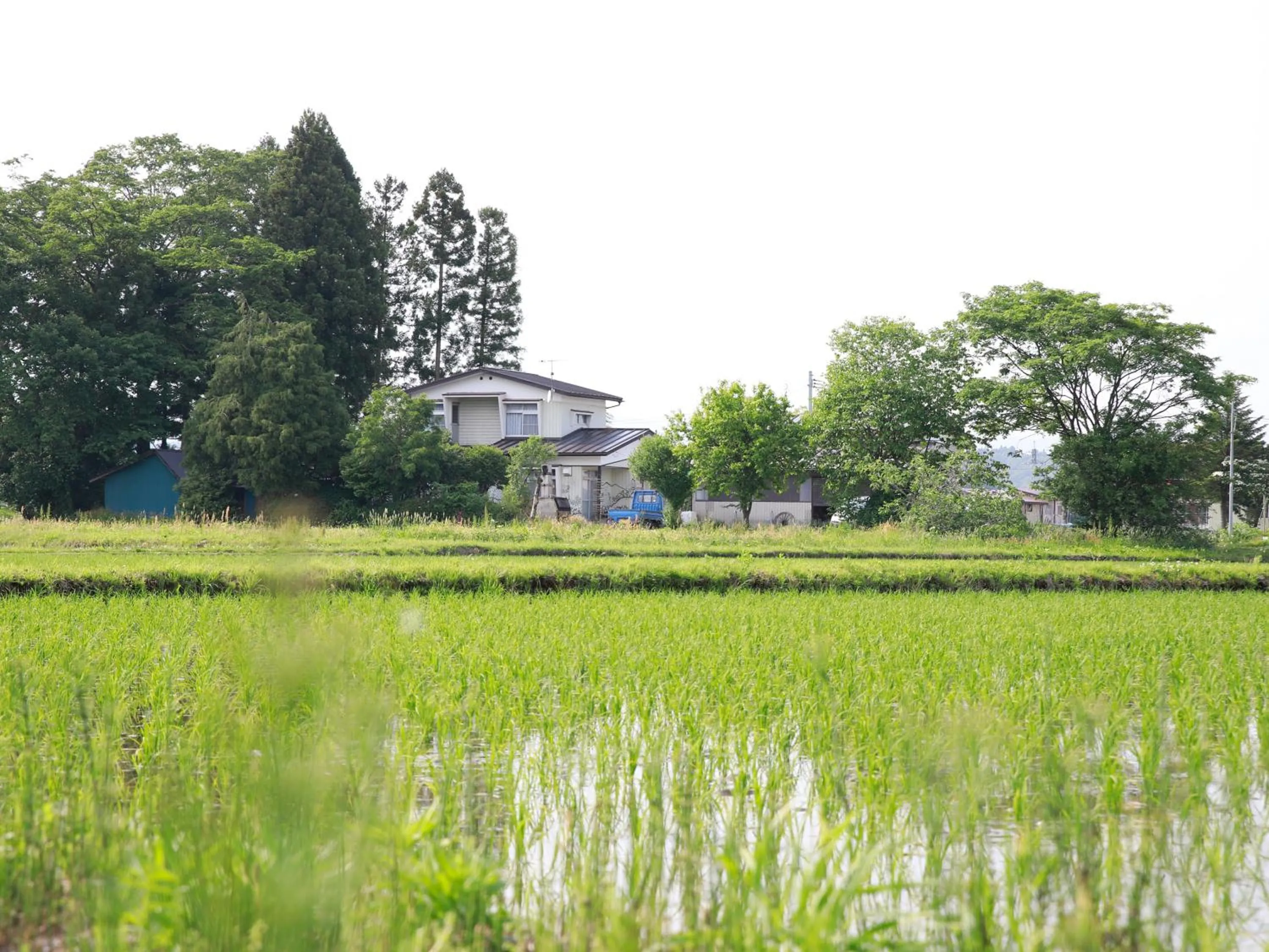 Property building in Pension Kamifuji