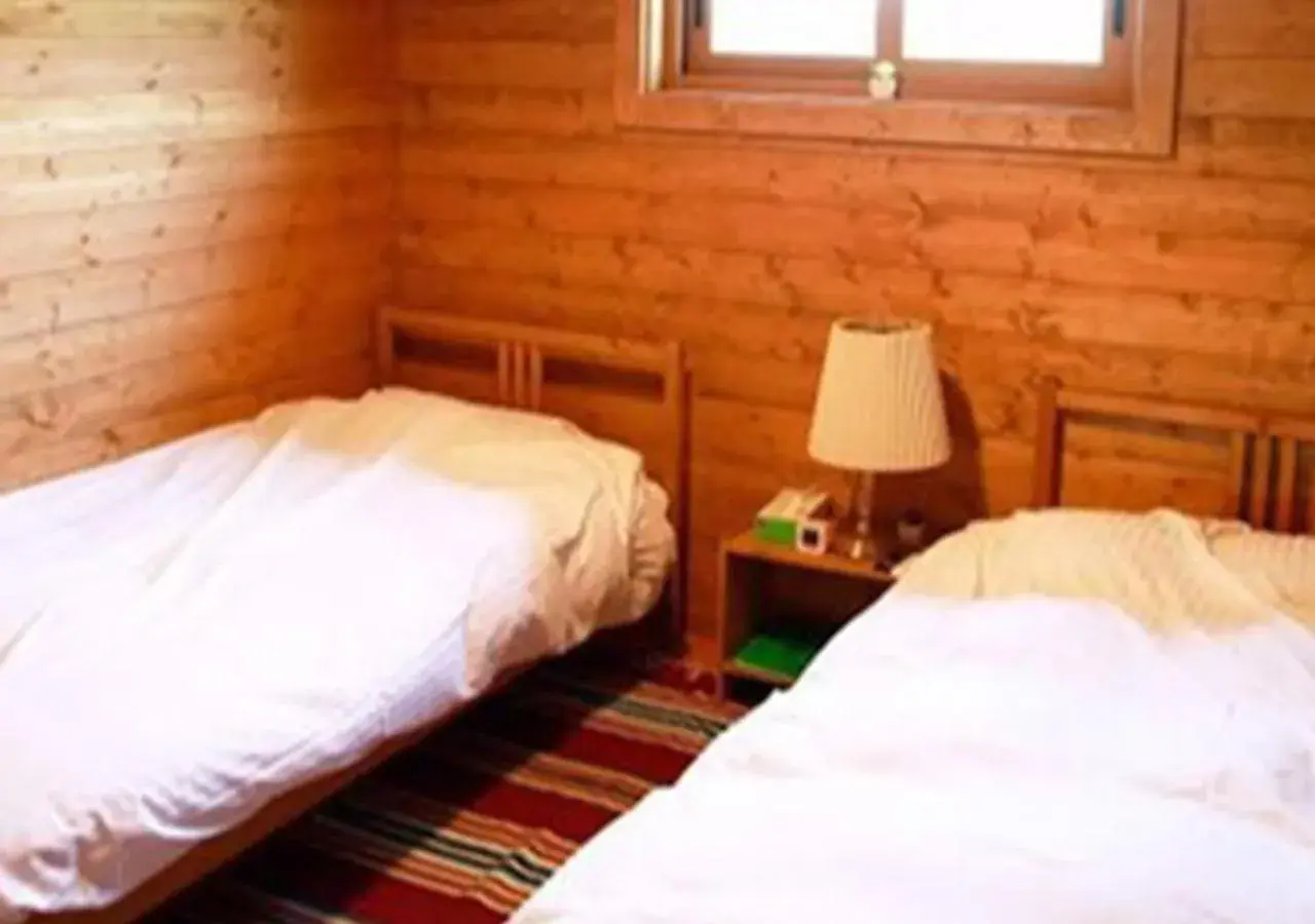 Standard Twin Room - single occupancy in Pension Kamifuji Standard Twin Room - single occupancy in Pension Kamifuji