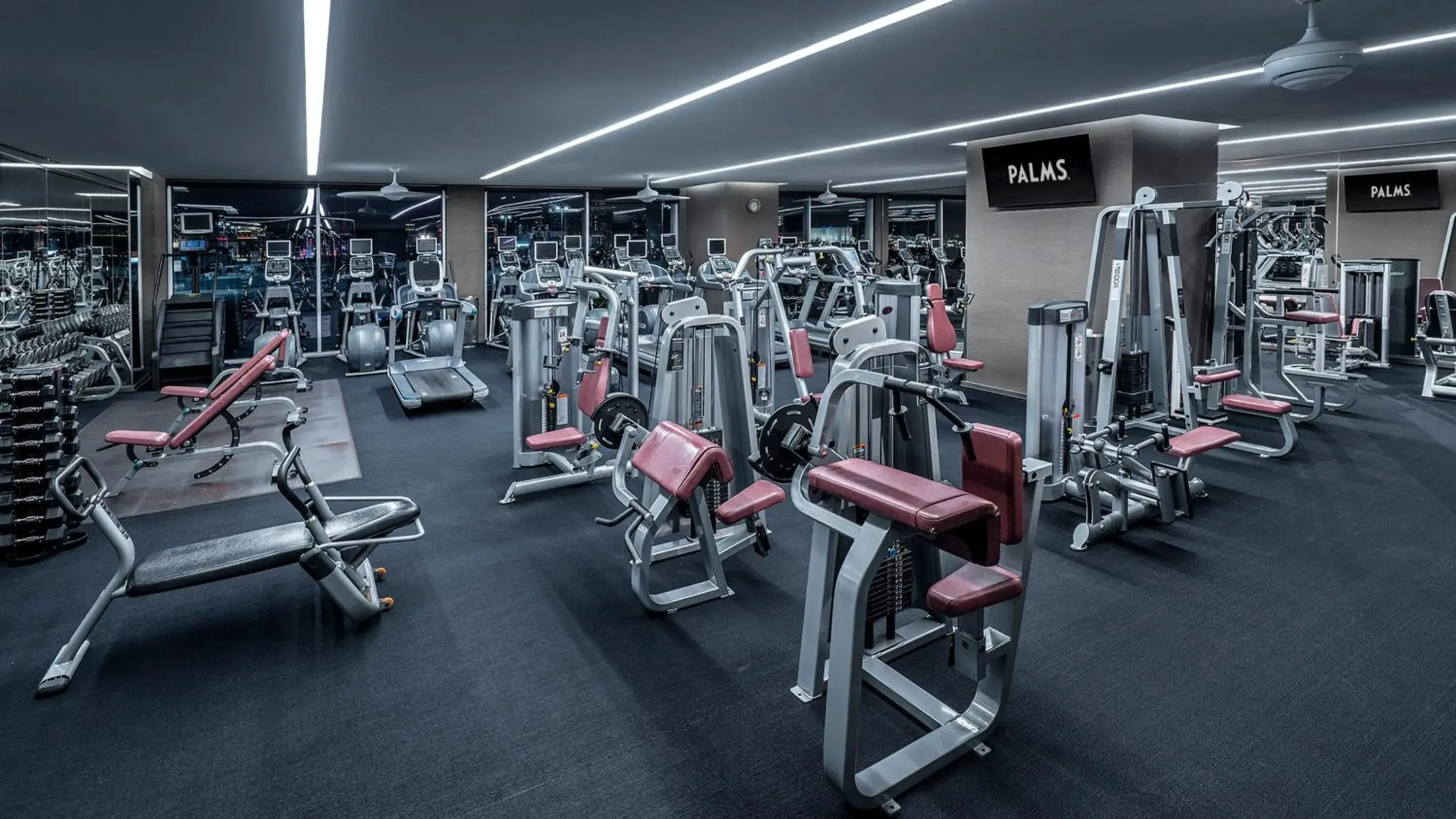 Fitness centre/facilities, Fitness Center/Facilities in Palms Place One Bedroom Suite 1220 sqft