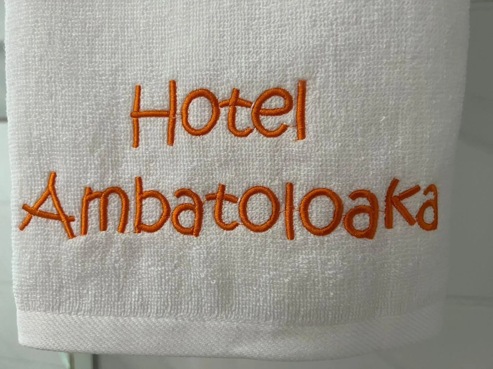 Property logo or sign in Hôtel Ambatoloaka