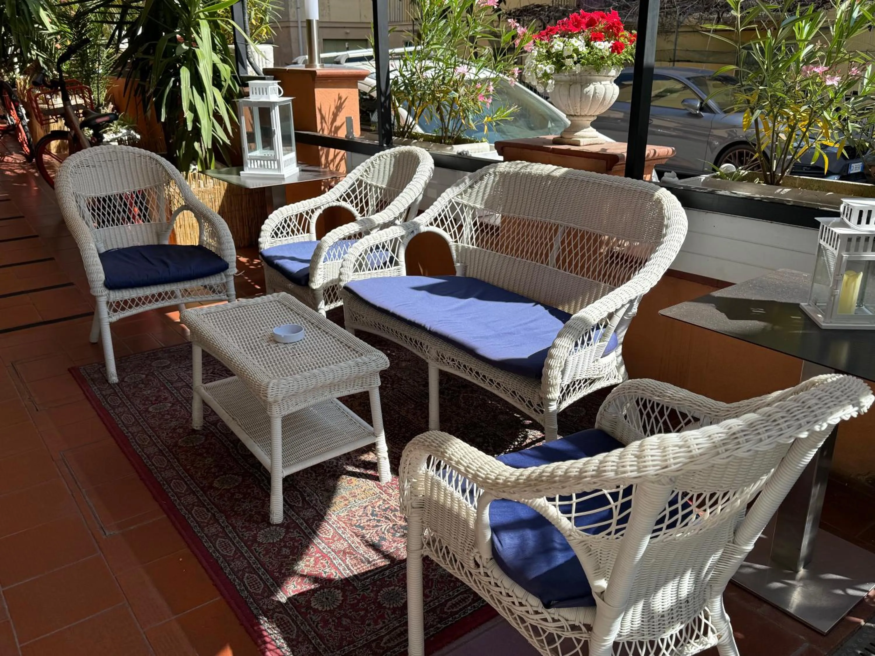 Garden in Hotel Picador