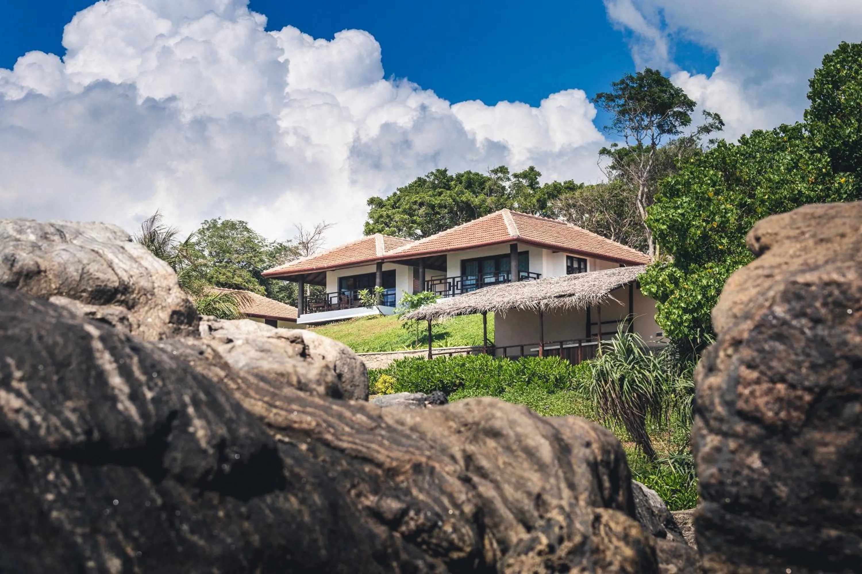 Balcony/Terrace in OMIA