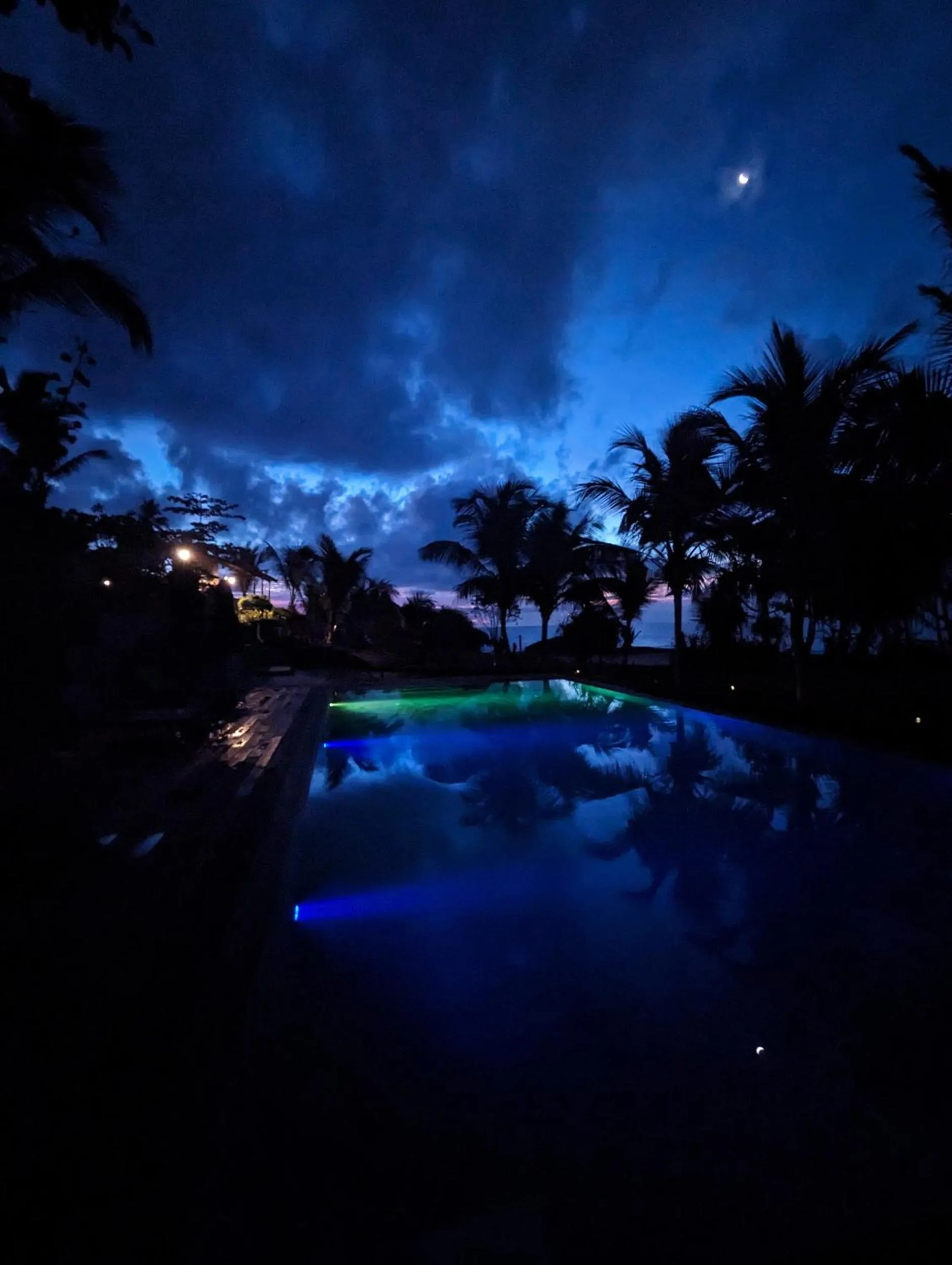 View (from property/room) in OMIA