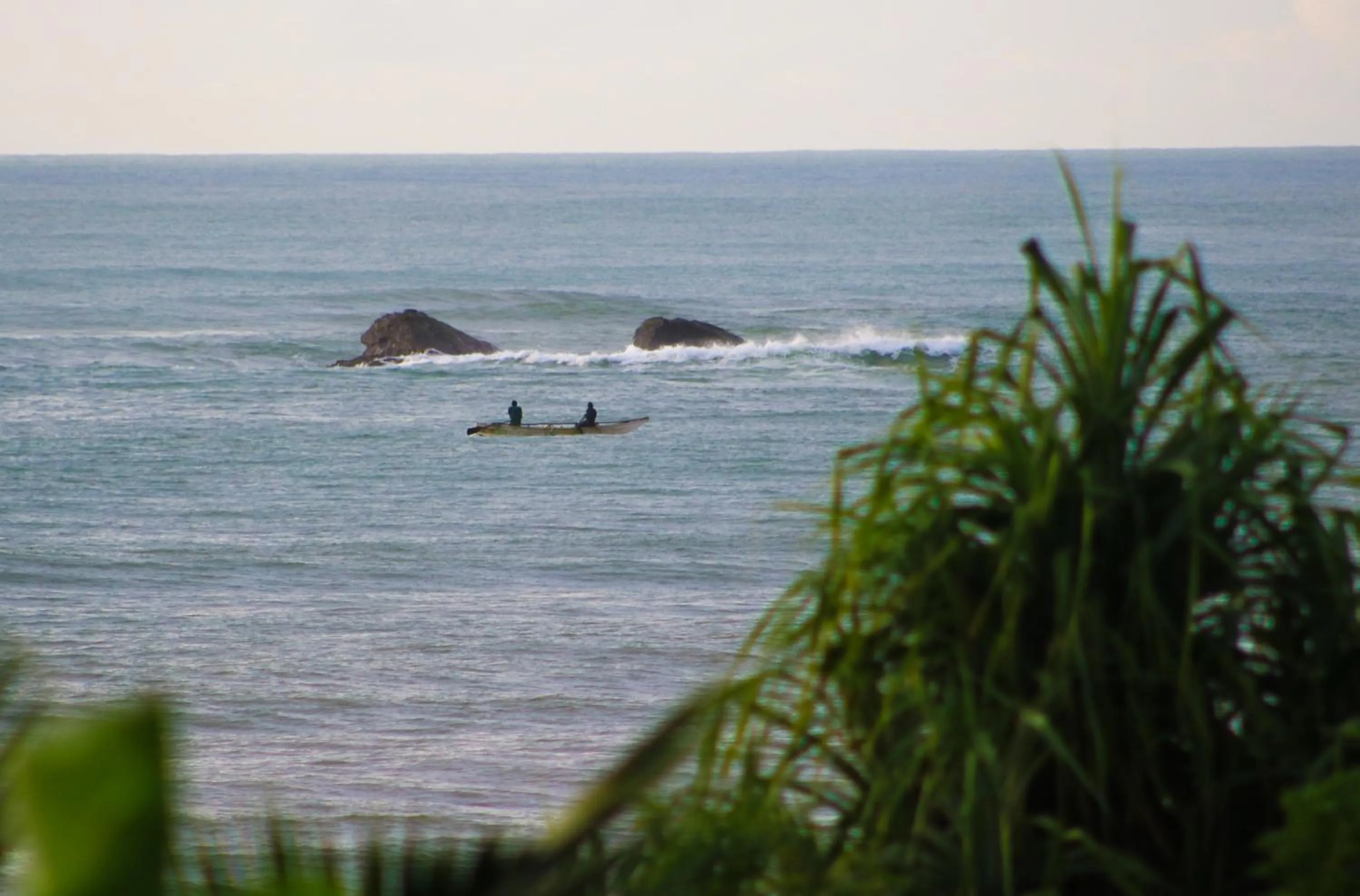 Natural landscape in OMIA