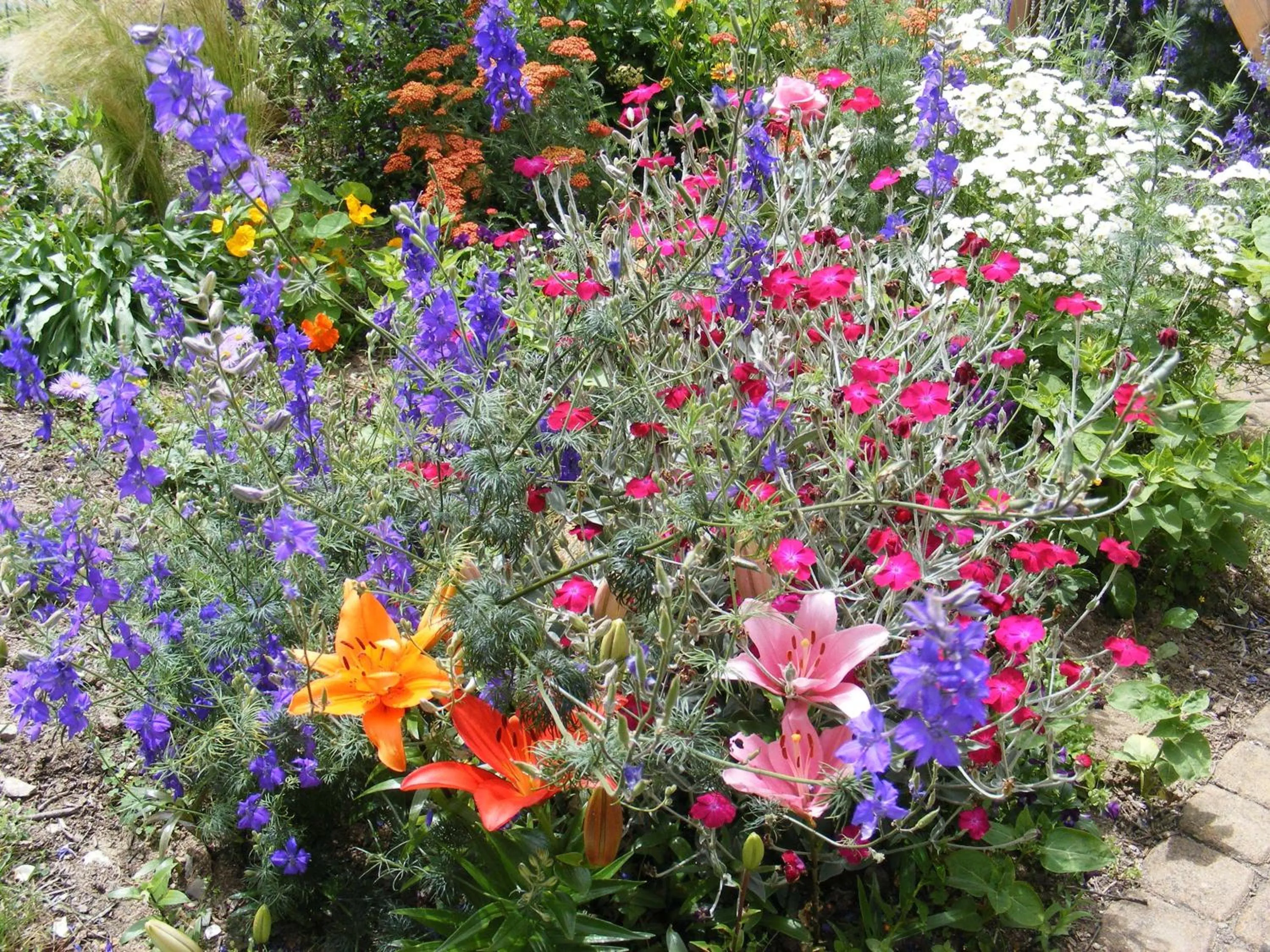 Spring in Chambres d'Hôtes Vignes et Loire
