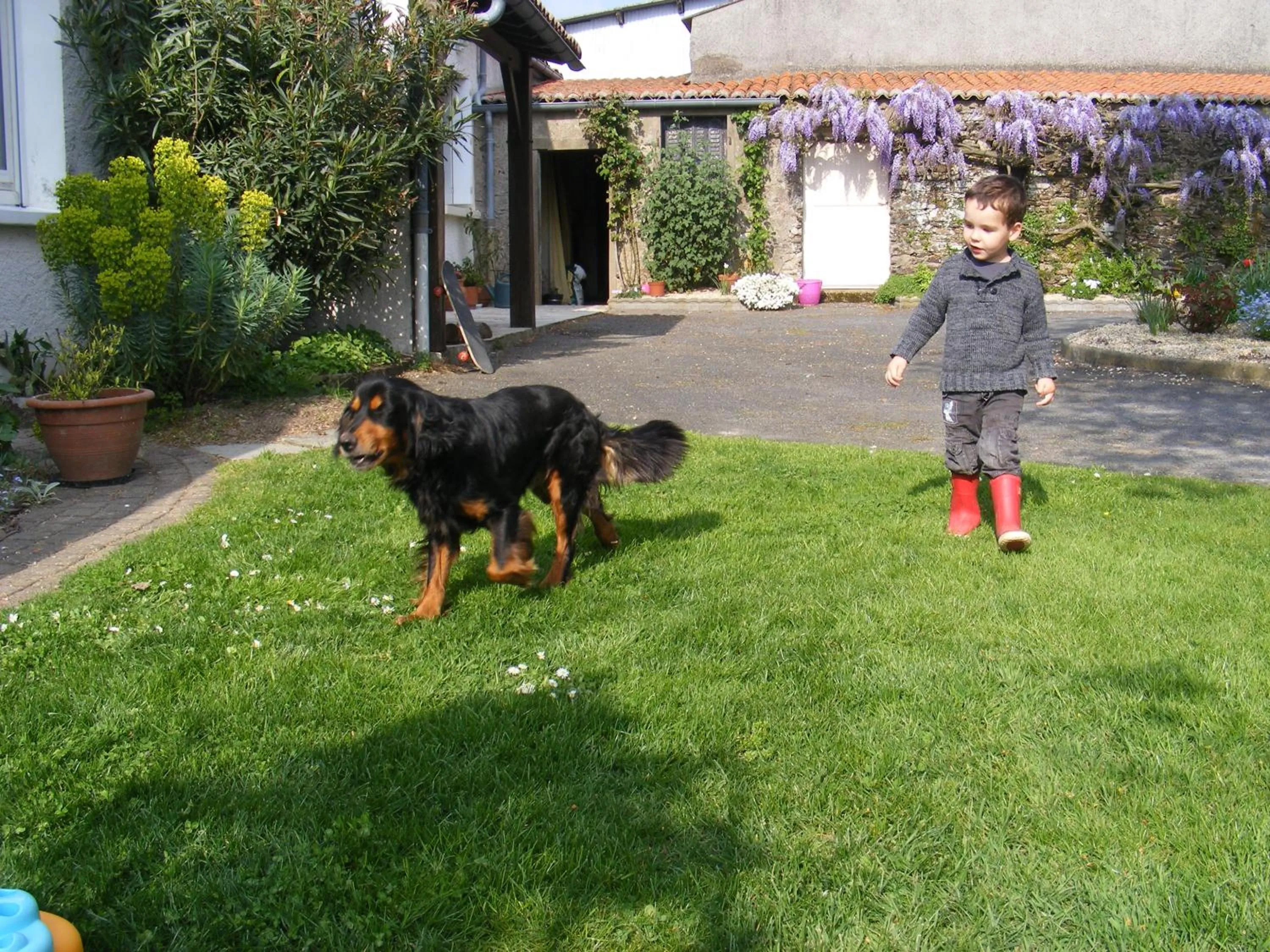 Animals in Chambres d'Hôtes Vignes et Loire