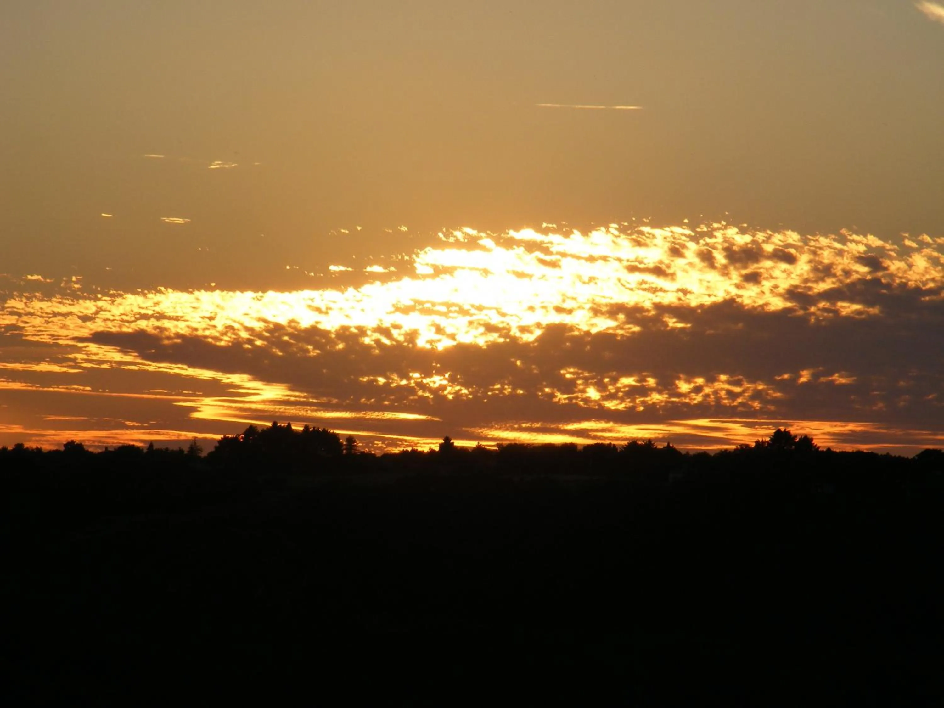 Natural landscape in Chambres d'Hôtes Vignes et Loire
