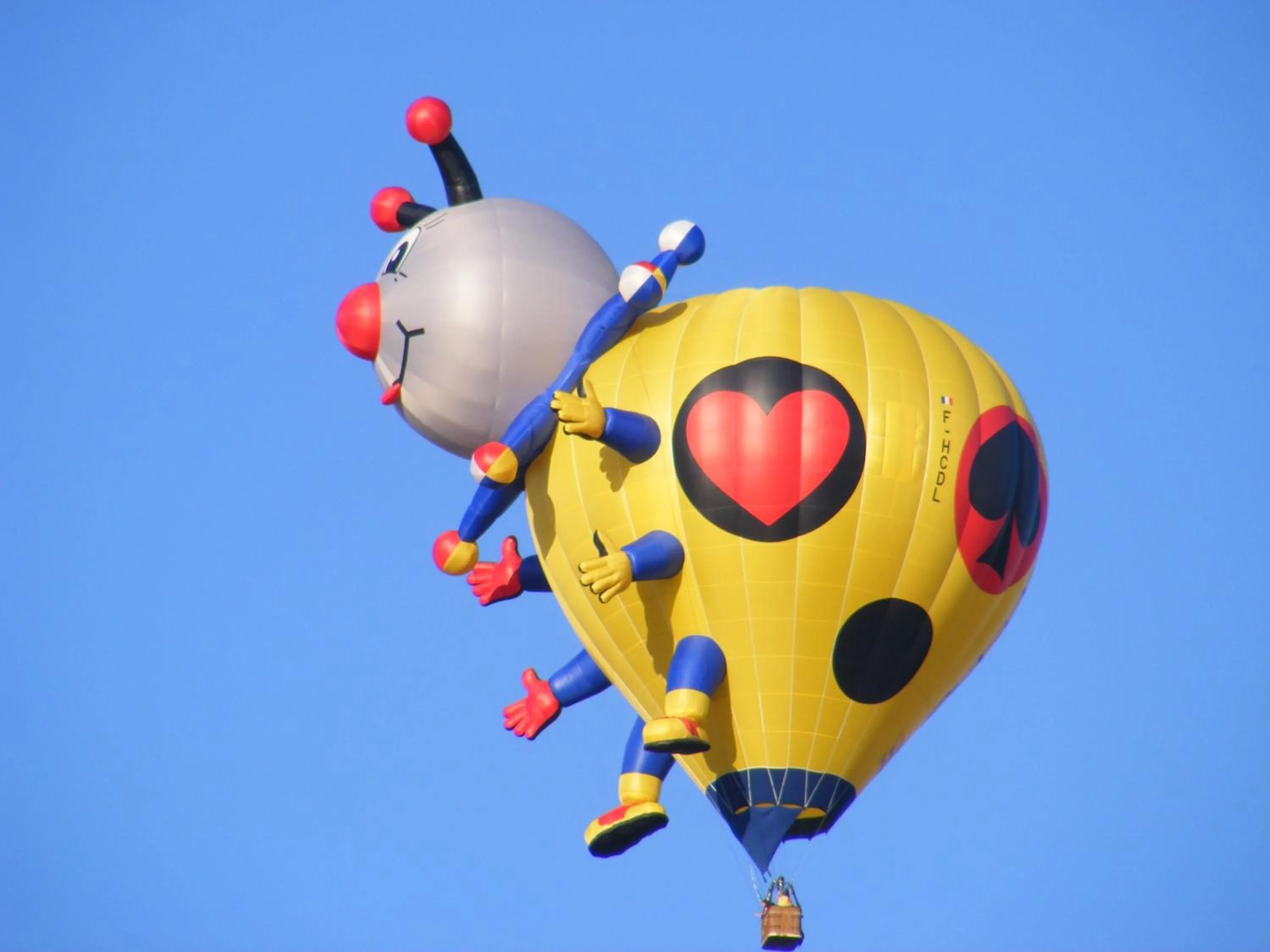 Sports in Chambres d'Hôtes Vignes et Loire