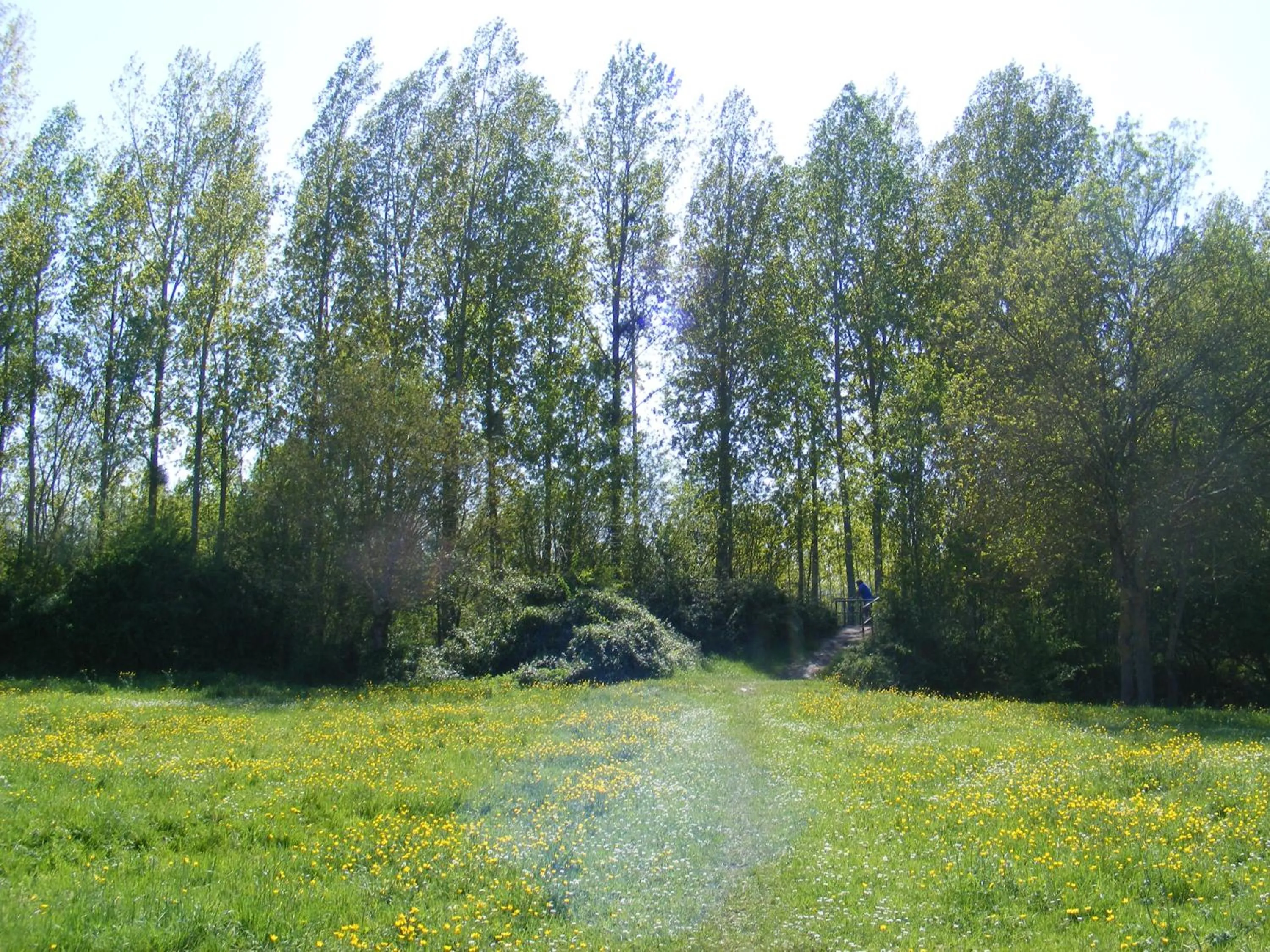 Off site in Chambres d'Hôtes Vignes et Loire