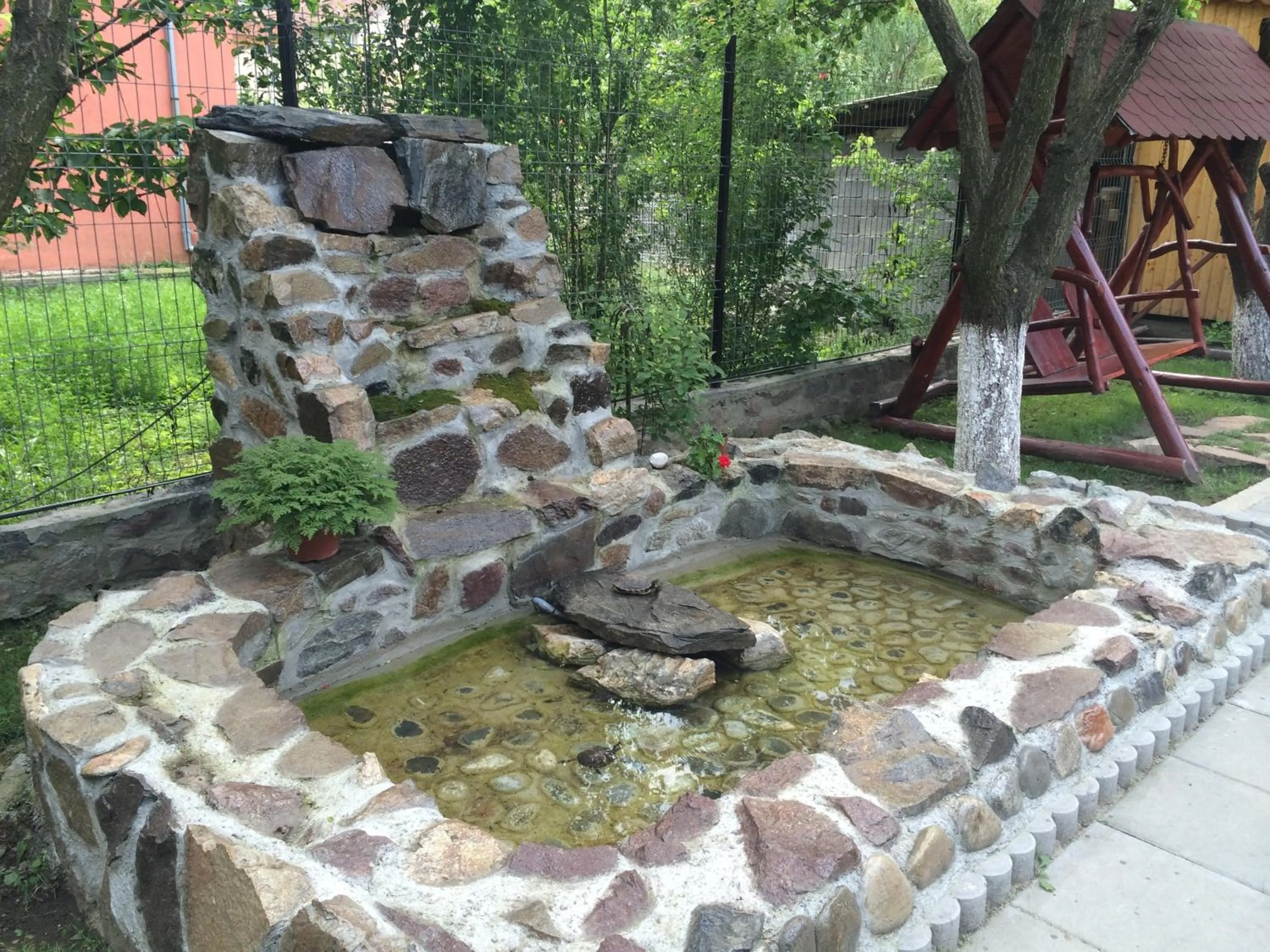 Garden in Pensiunea JOJO2