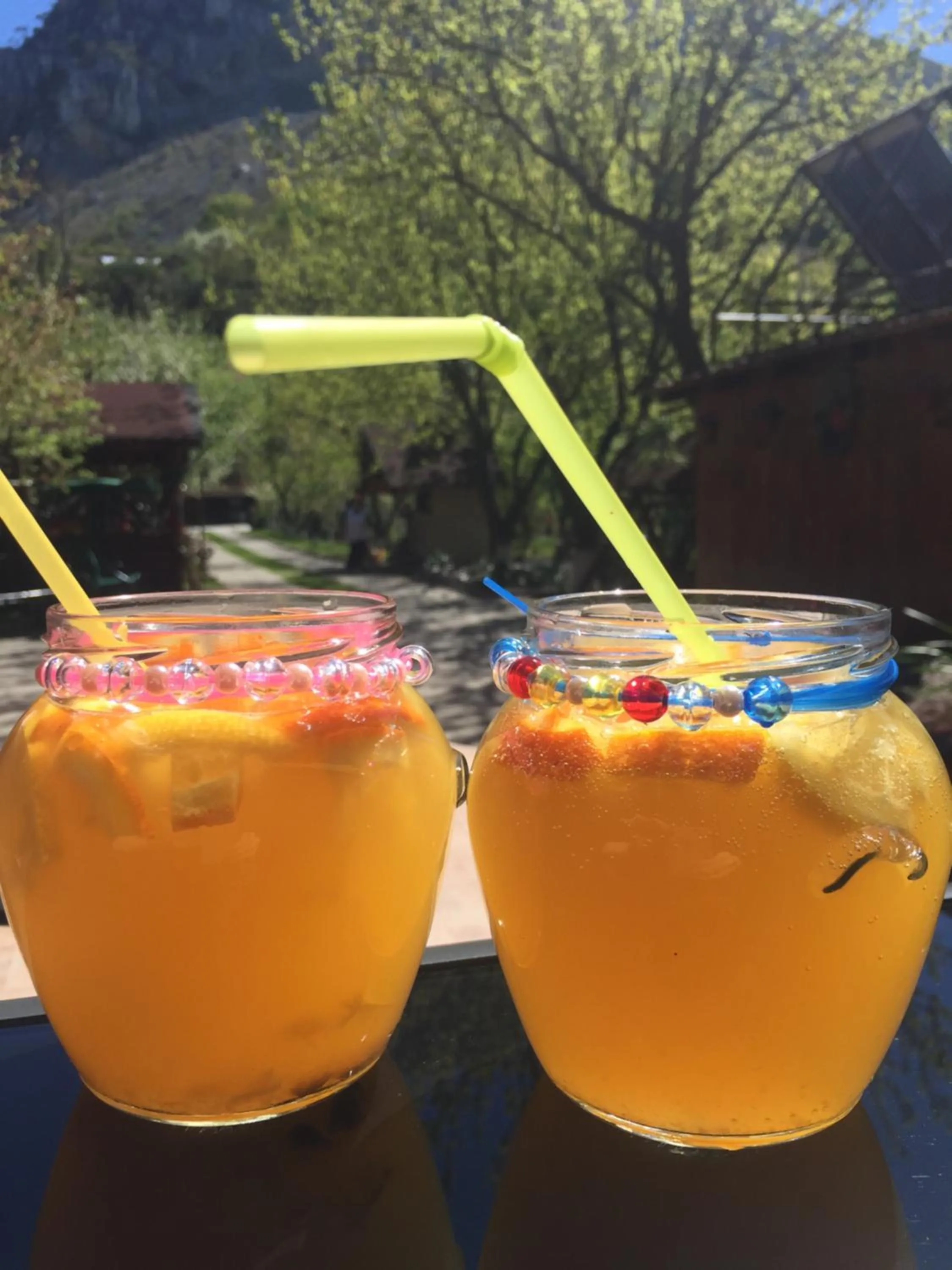 Natural landscape in Pensiunea JOJO2