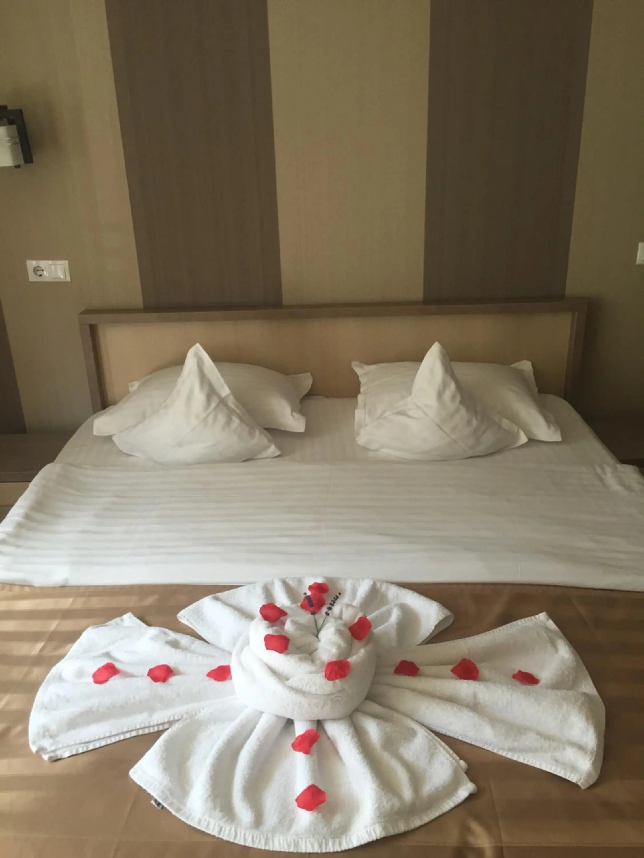 Photo of the whole room, Bed in Pensiunea JOJO2