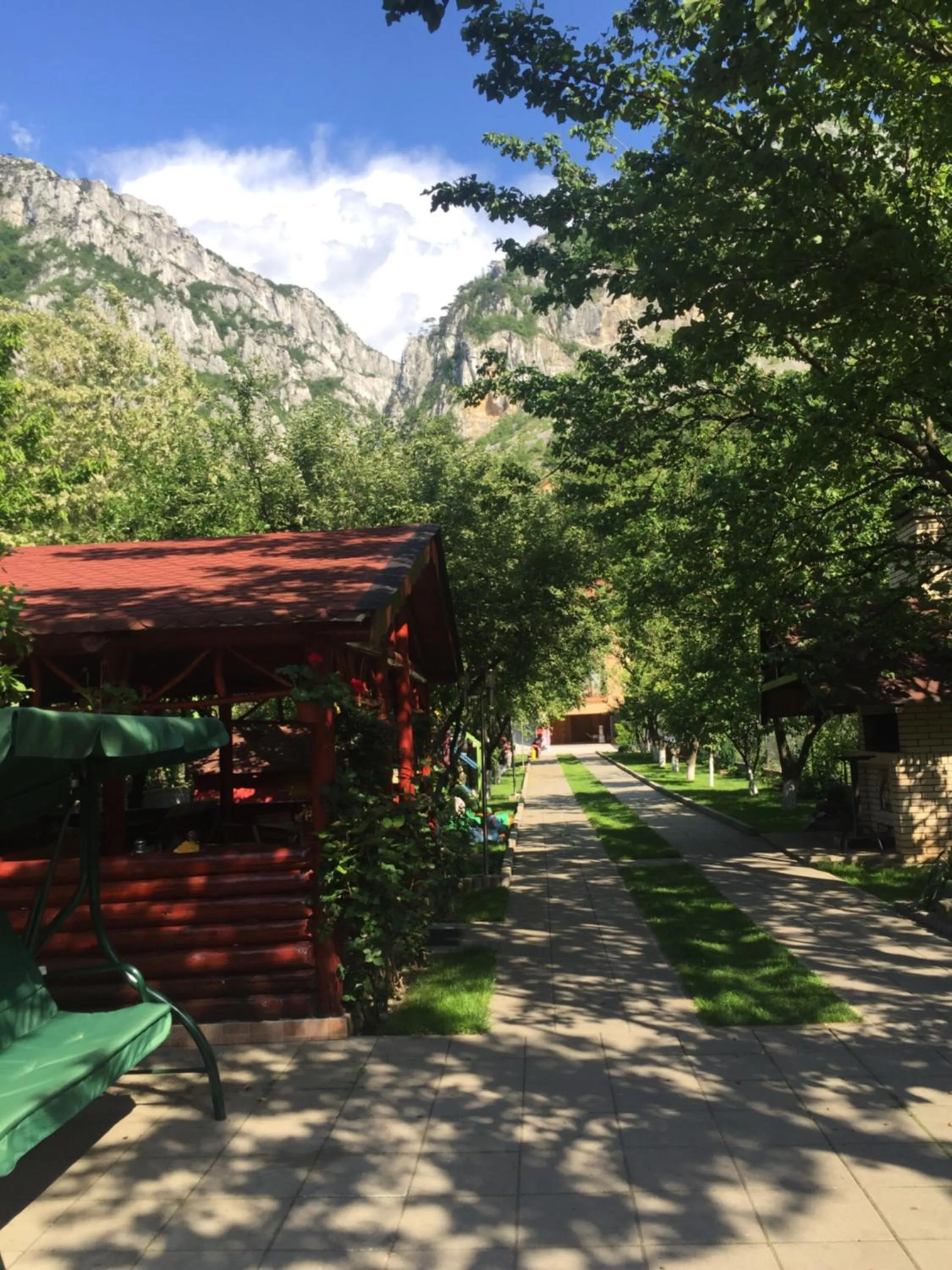 Garden in Pensiunea JOJO2