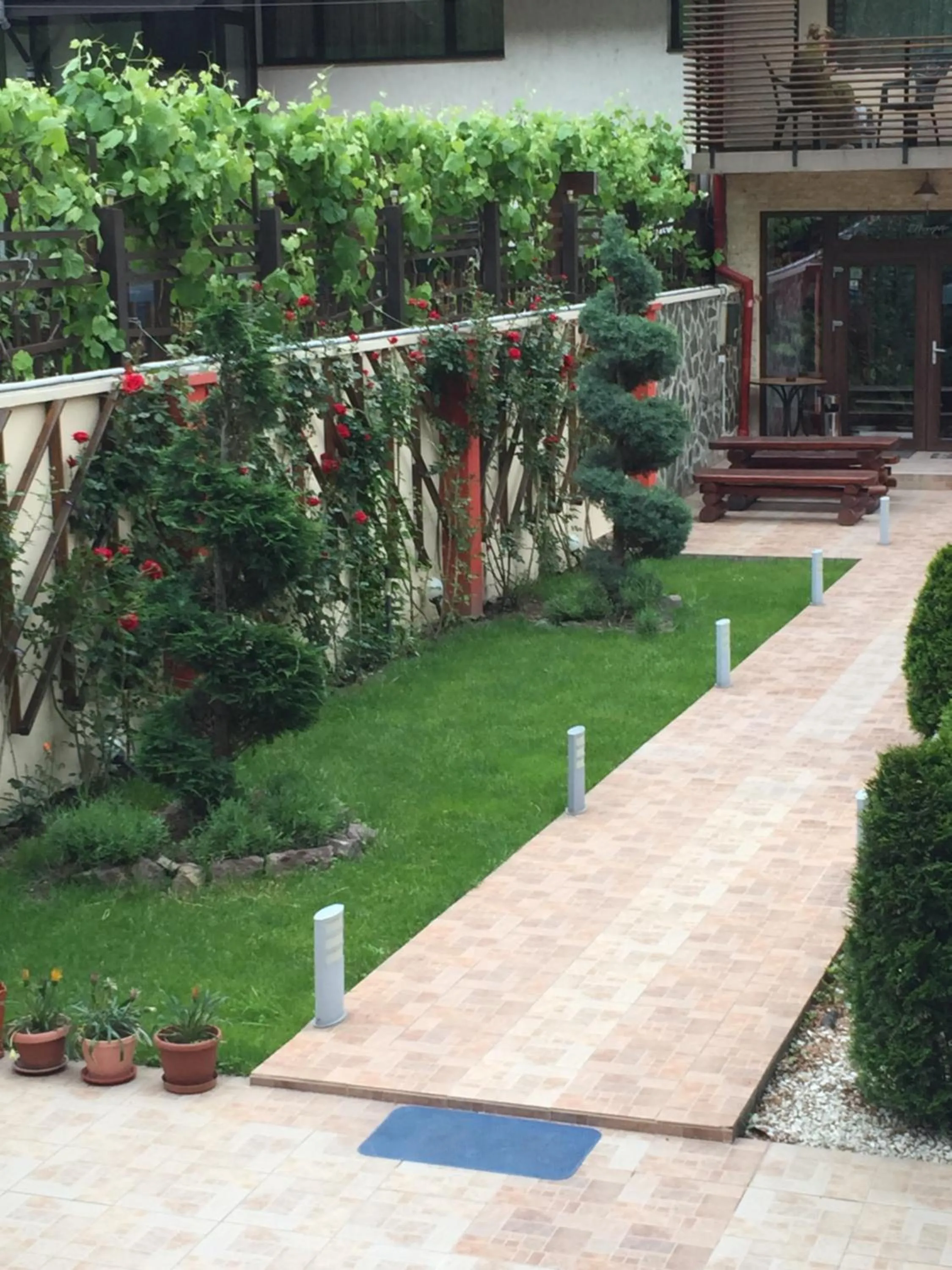 Garden in Pensiunea JOJO2