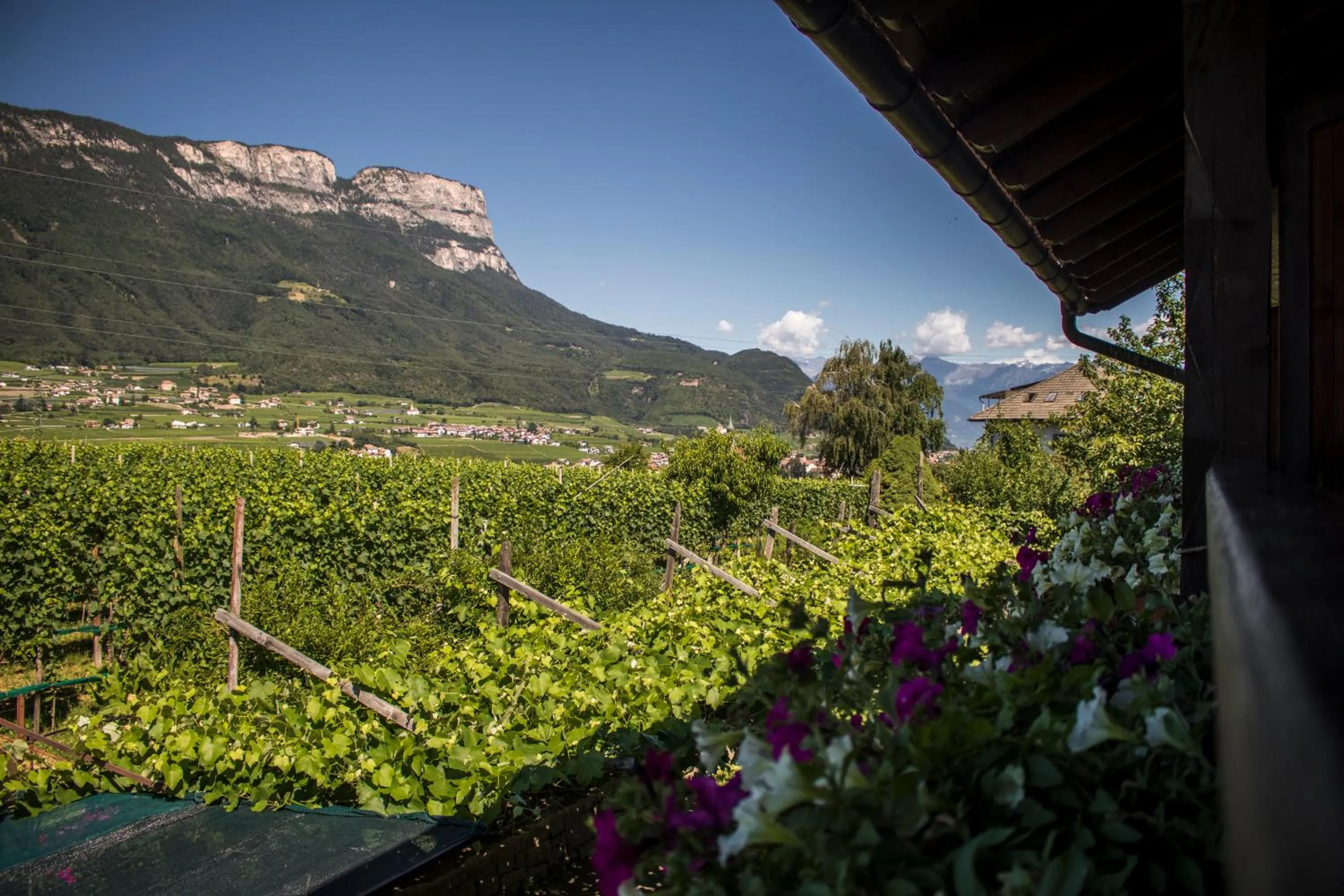 Mountain view in Hotel Gasthof WASTL