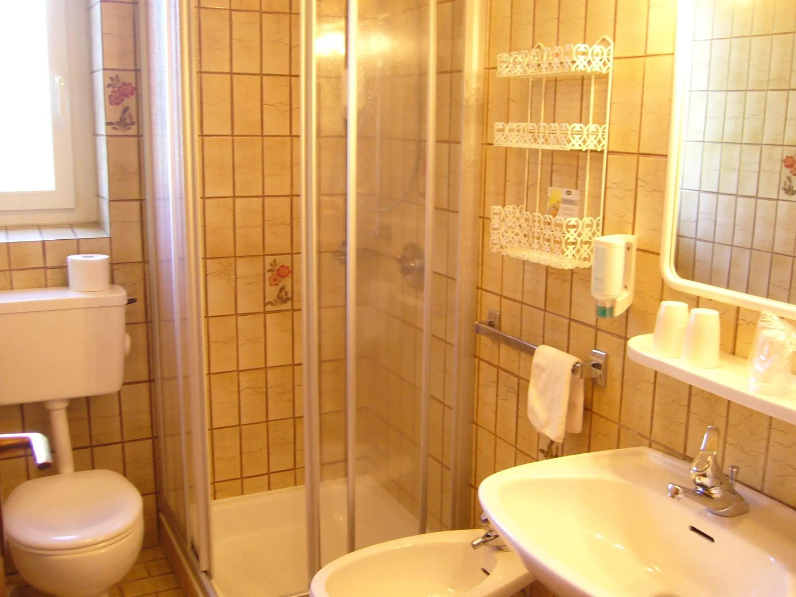 Shower in Hotel Gasthof WASTL