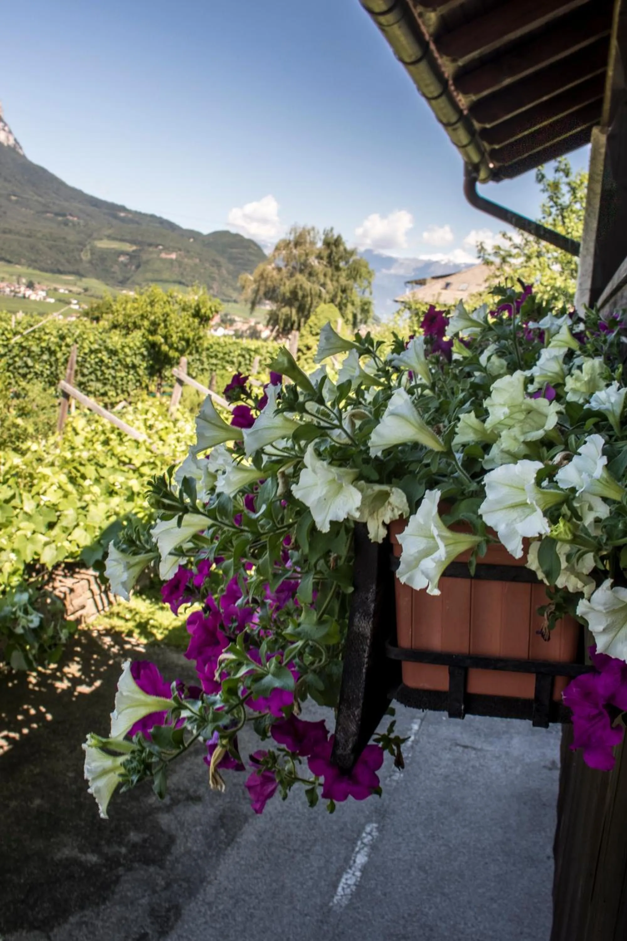 Balcony/Terrace in Hotel Gasthof WASTL