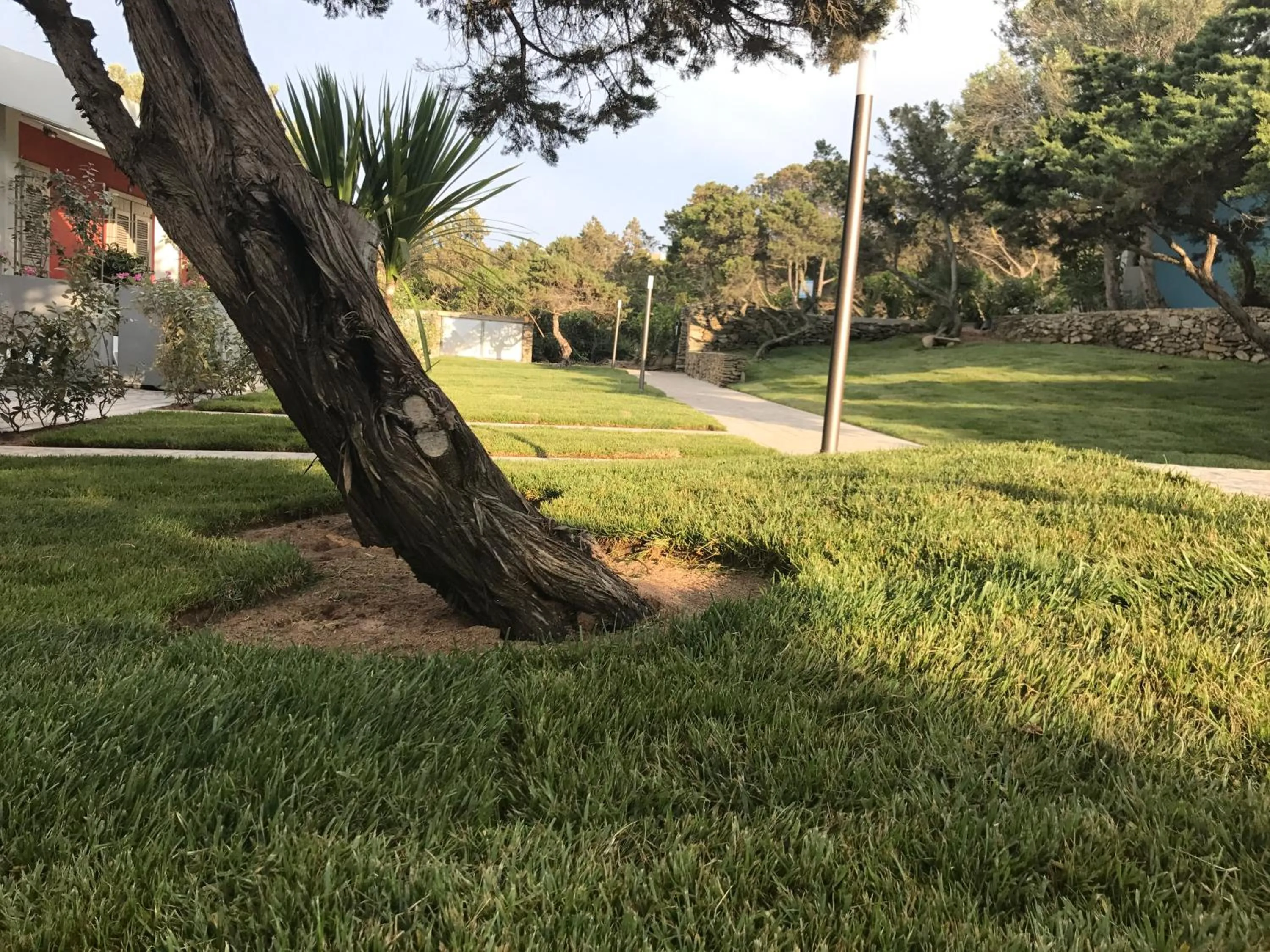 Garden in Club Esse Sporting