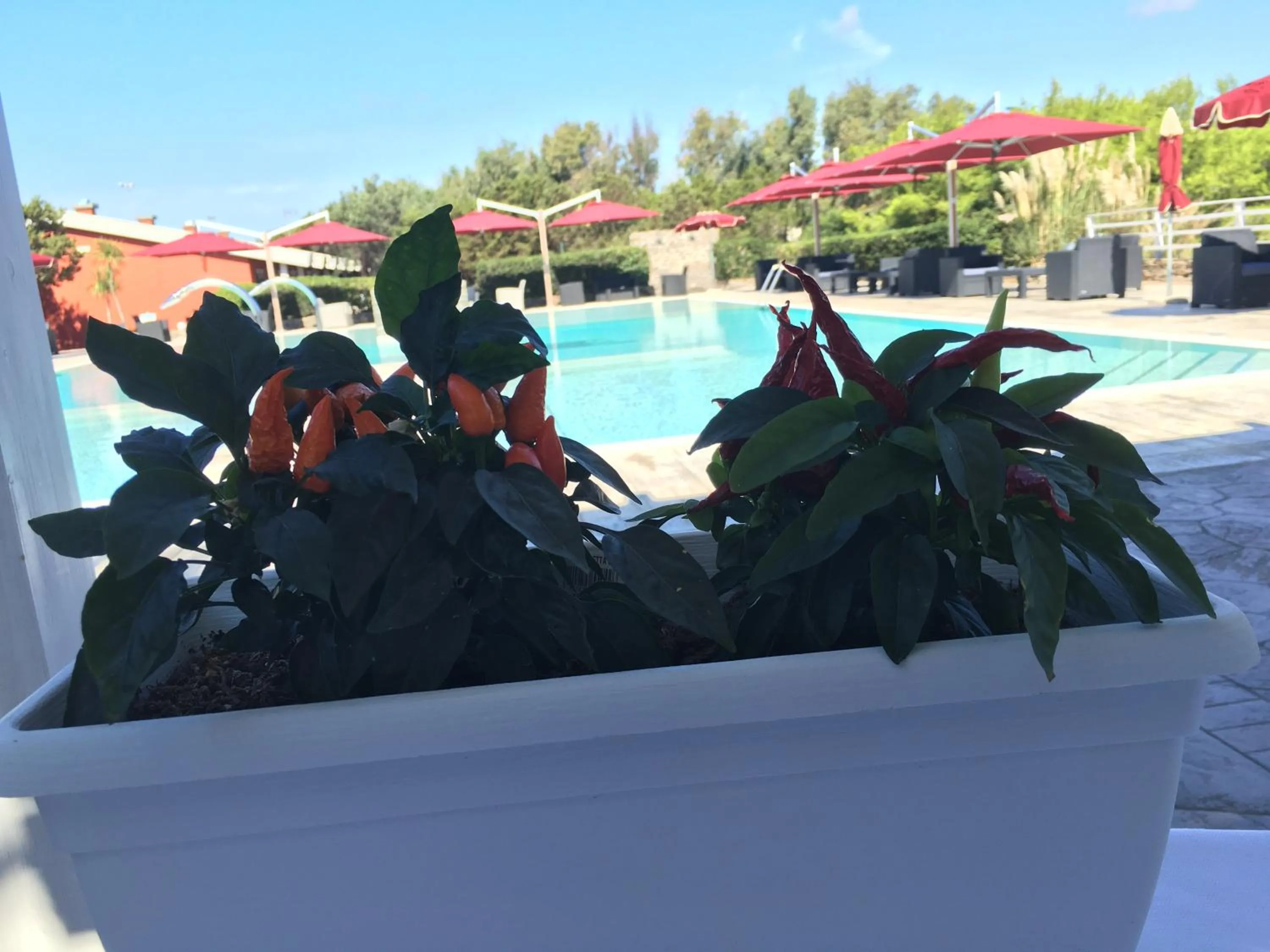 Swimming pool in Club Esse Sporting