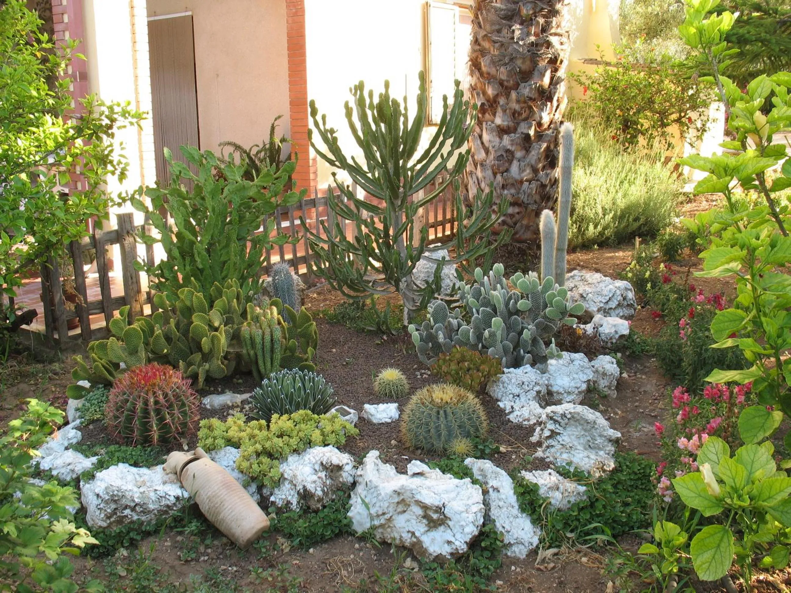 Garden in Agriturismo Montalbano