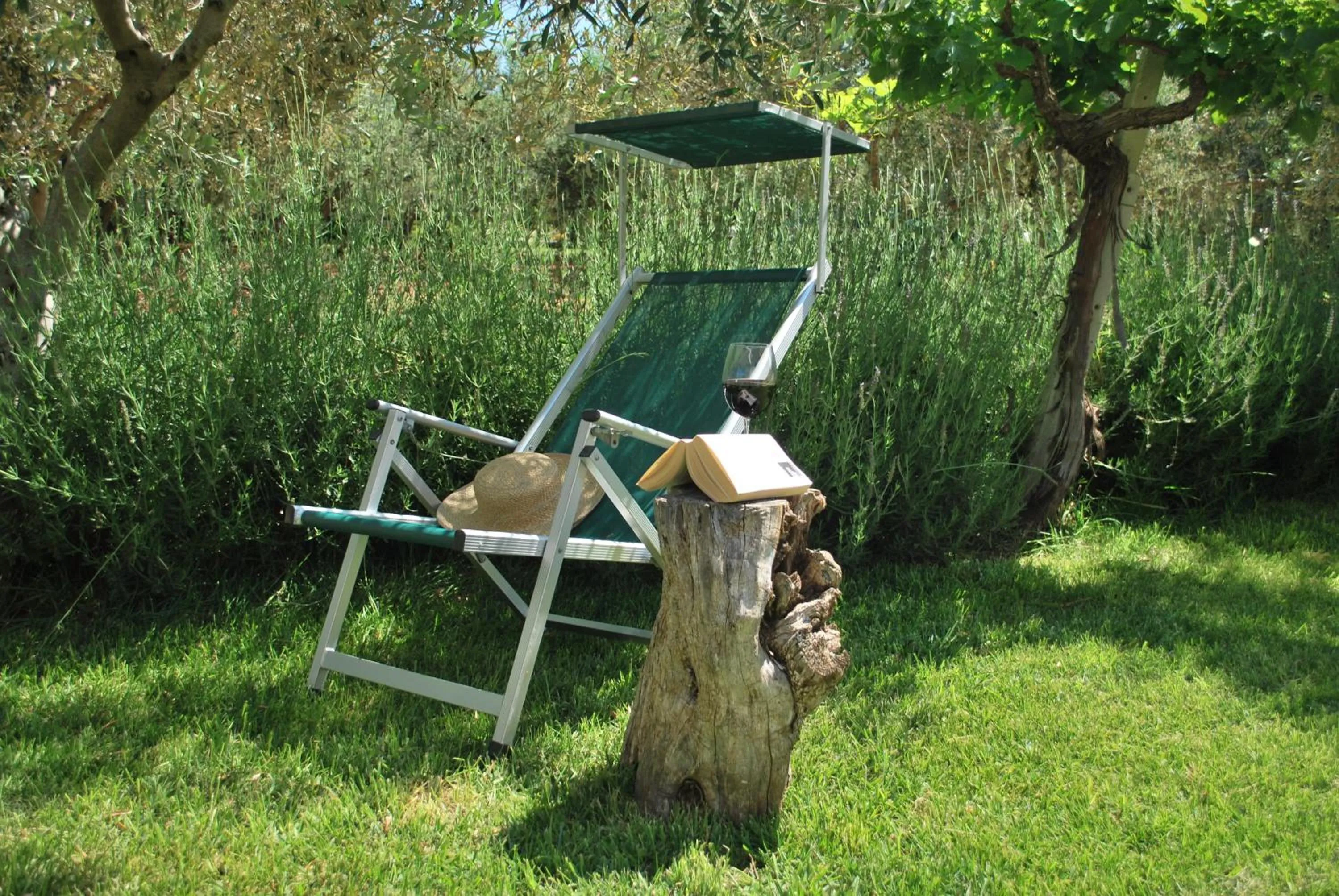 Day in Agriturismo Montalbano