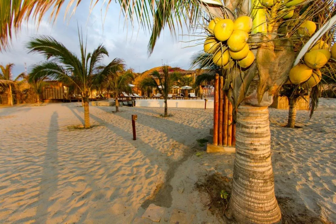 Beach in Bamboo Lodge