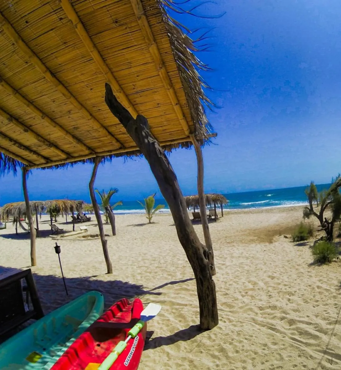 Beach in Bamboo Lodge