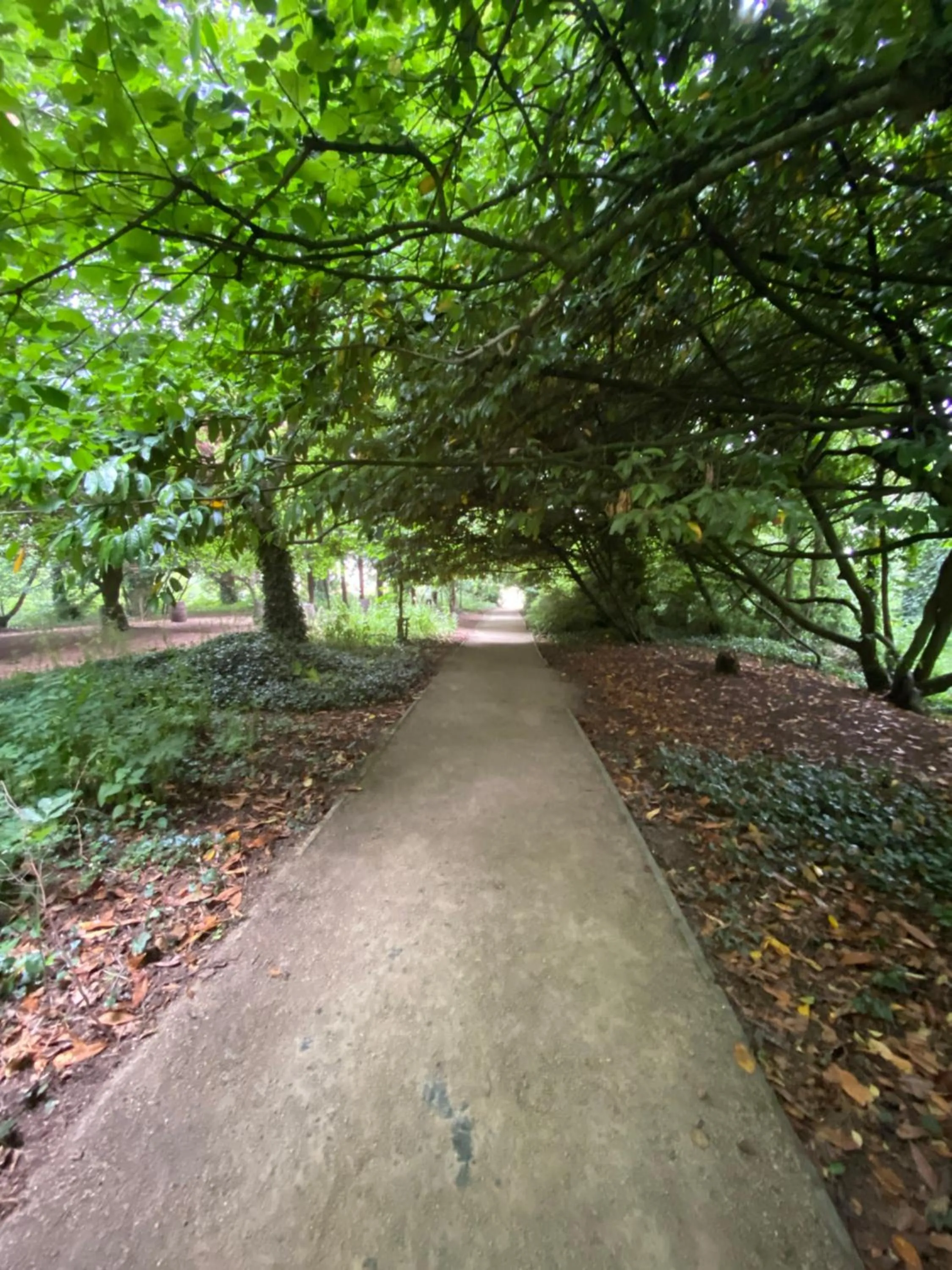 Garden in The Lucan Spa Hotel