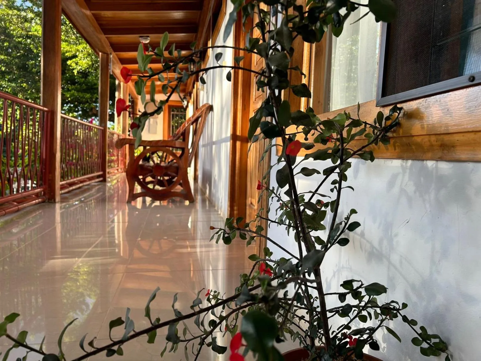 Balcony/Terrace in Hotel Javy