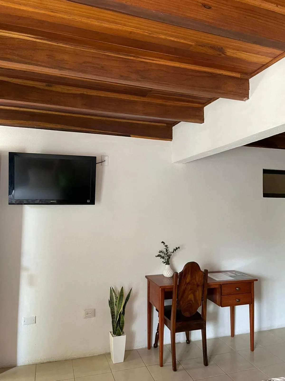 TV and multimedia in Hotel Javy