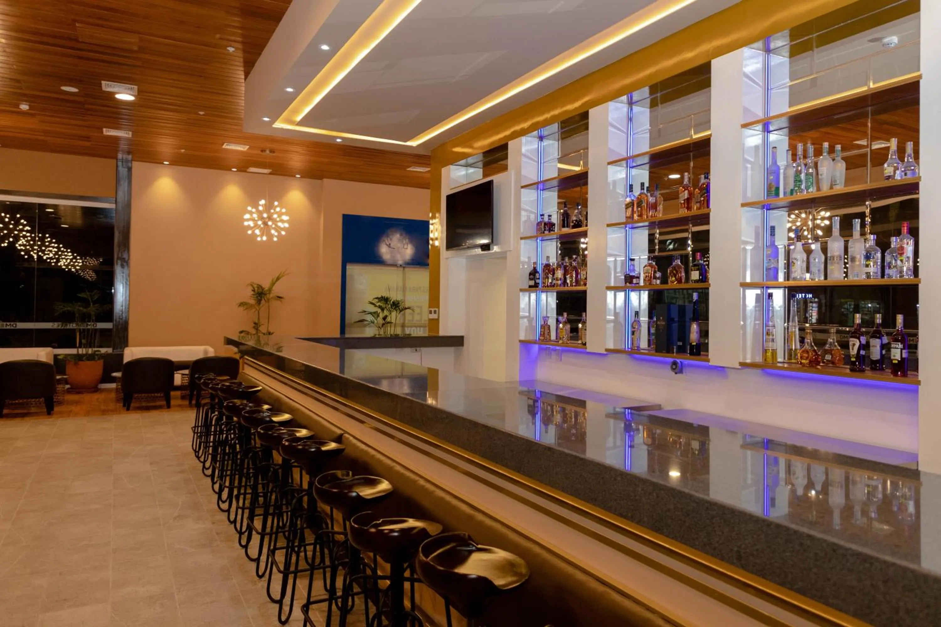 Lounge or bar in DM Hoteles Tacna