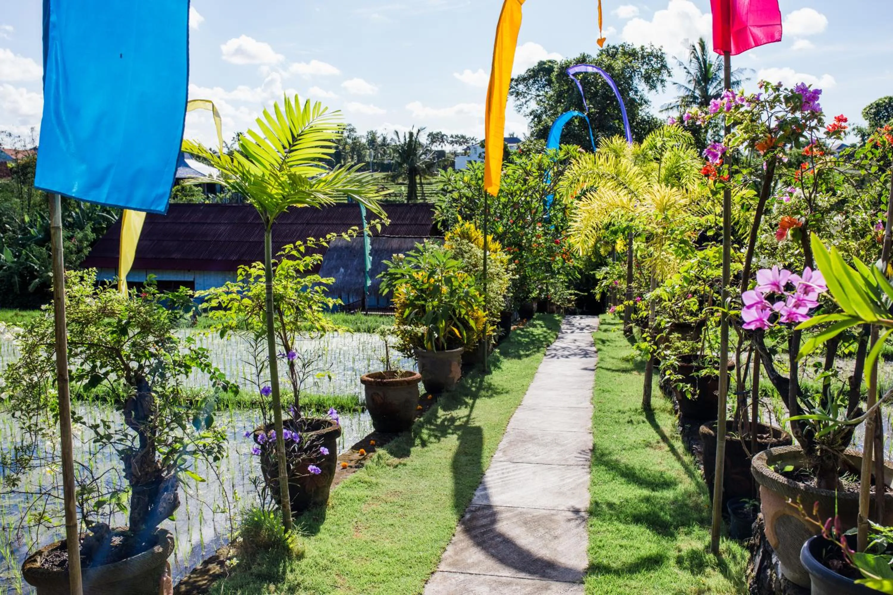 Garden in Matra Bali Guesthouse