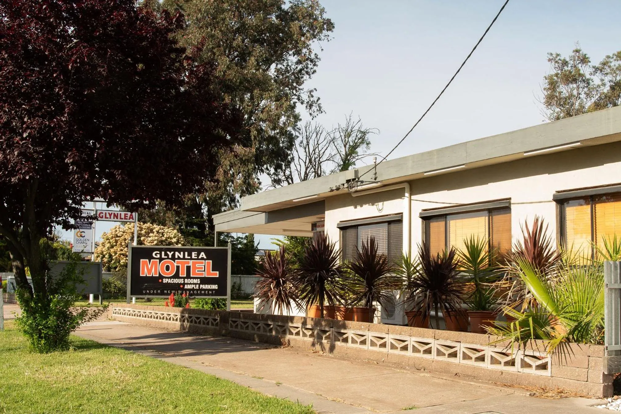 Day in Glynlea Motel