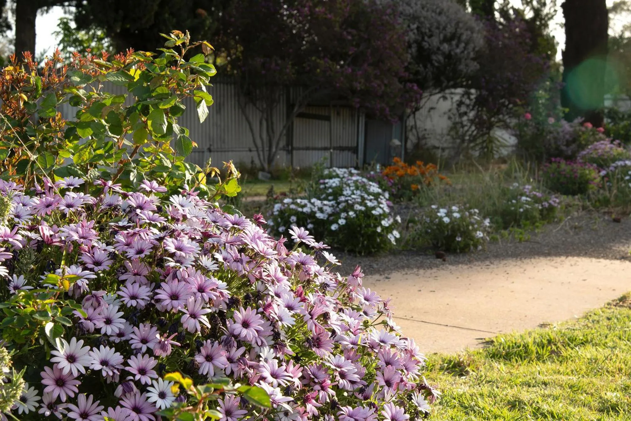 Spring in Glynlea Motel