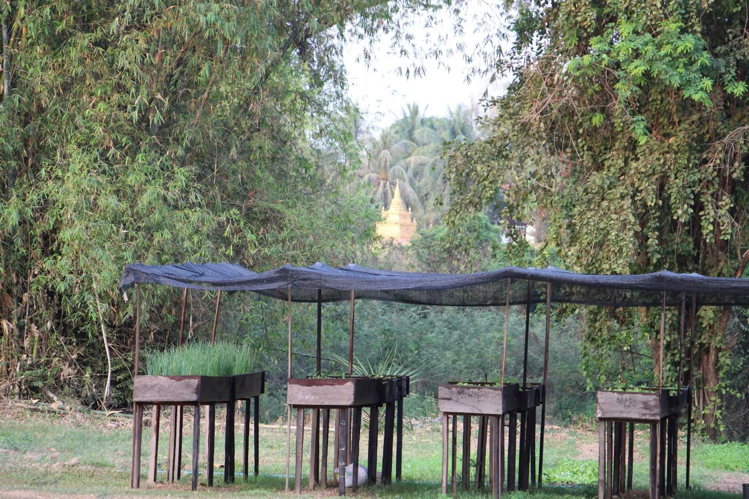 Place of worship in Soriyabori Resort