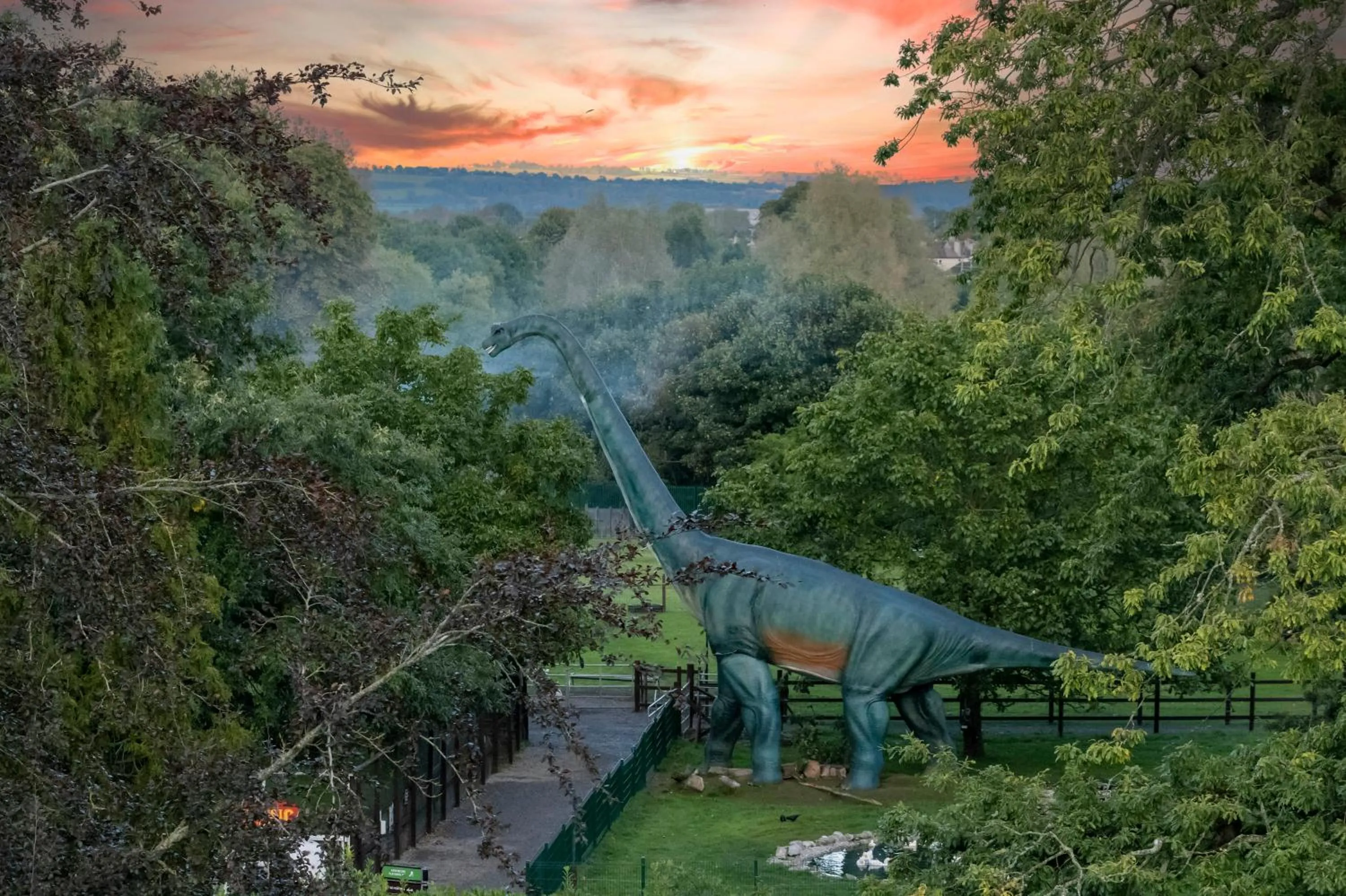 Family in Newpark Hotel
