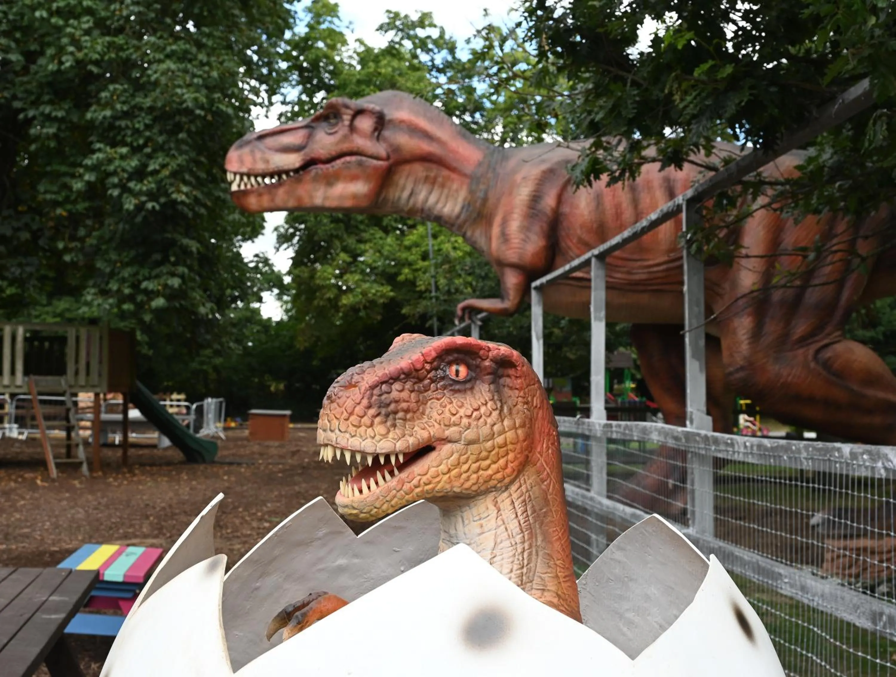 Family in Newpark Hotel