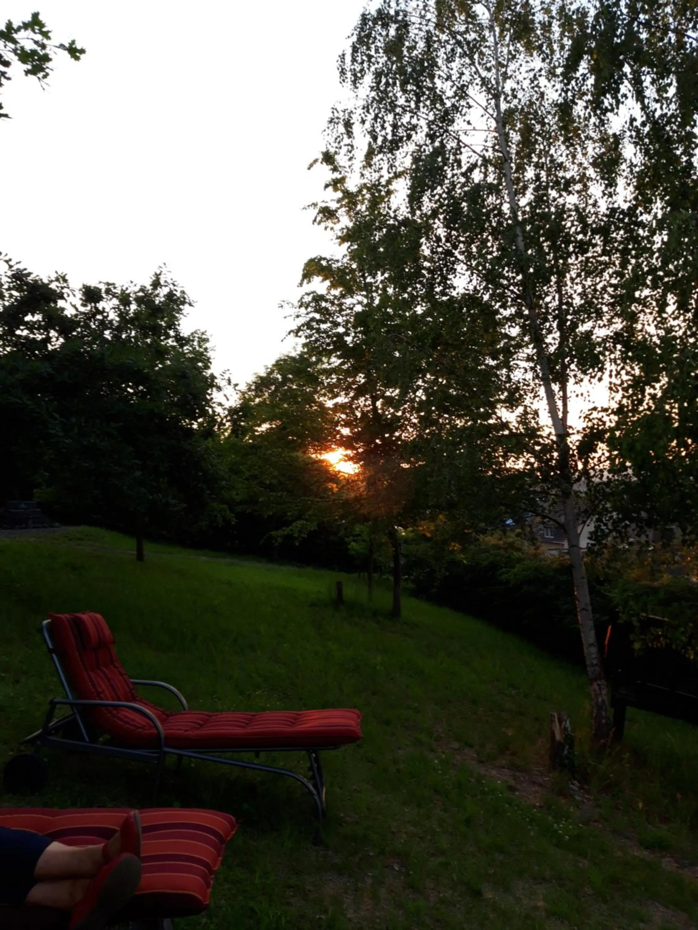 Garden in Bengel's Hotel zur Krone