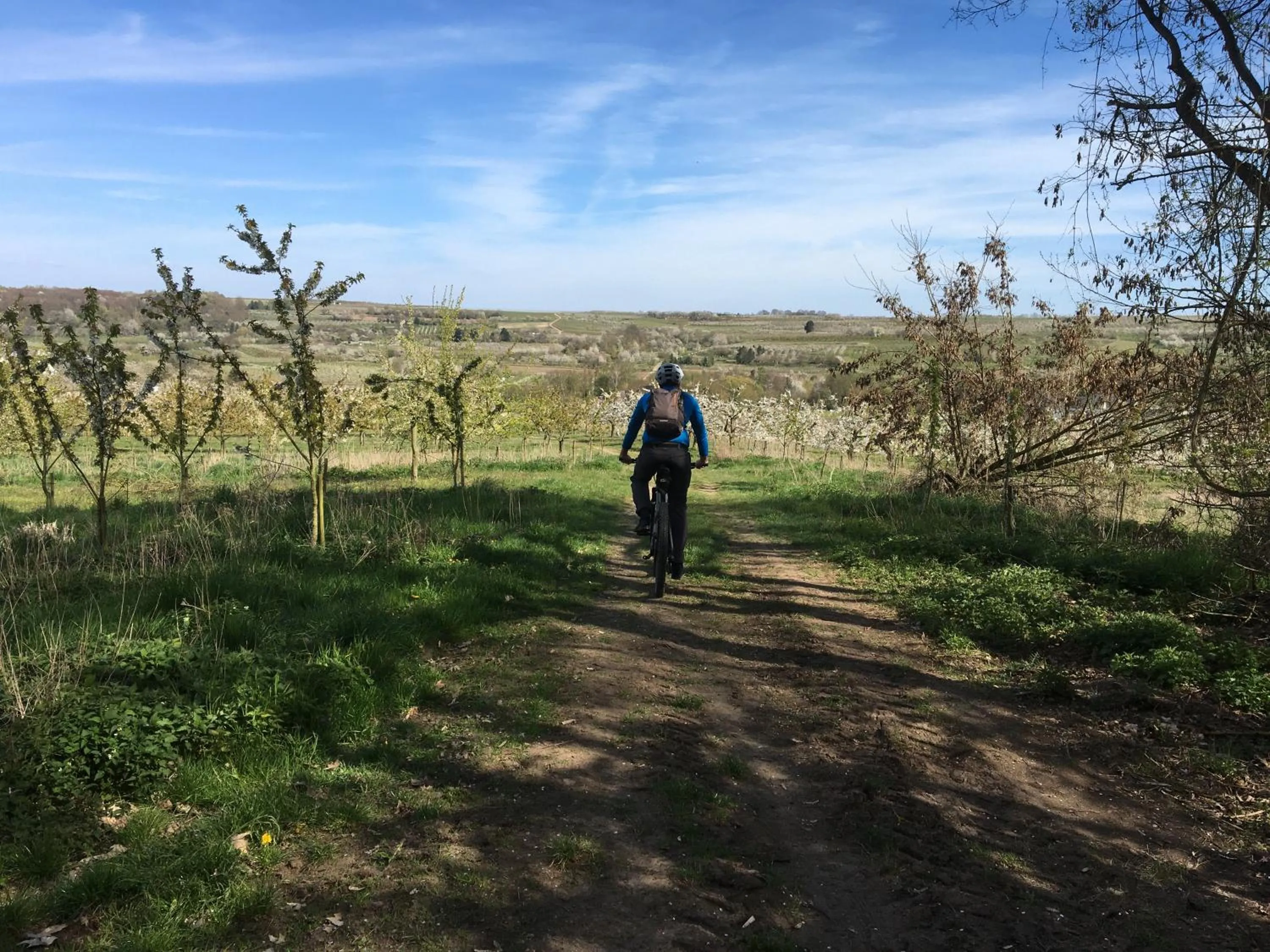 Cycling in Bengel's Hotel zur Krone