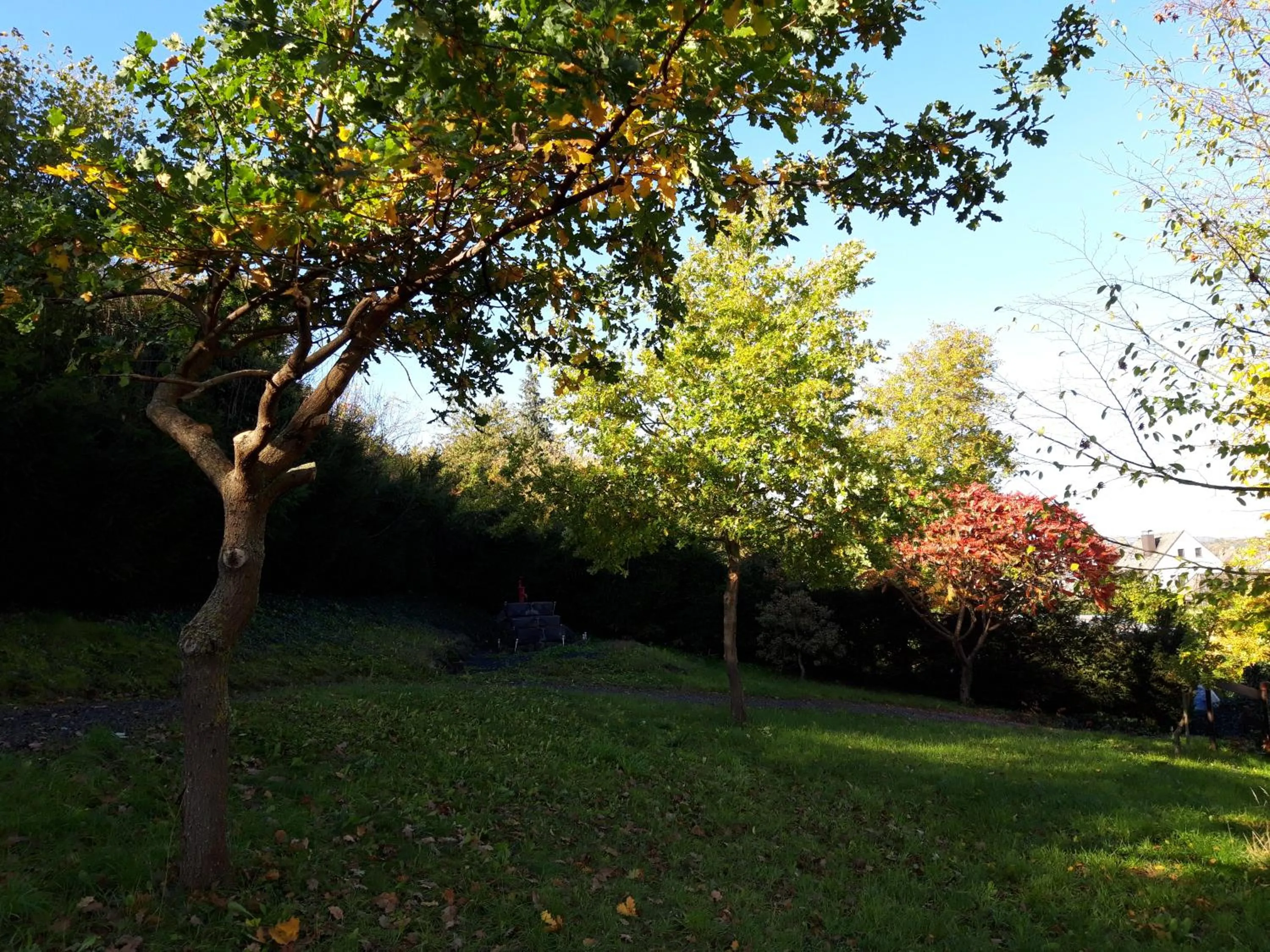 Garden view in Bengel's Hotel zur Krone