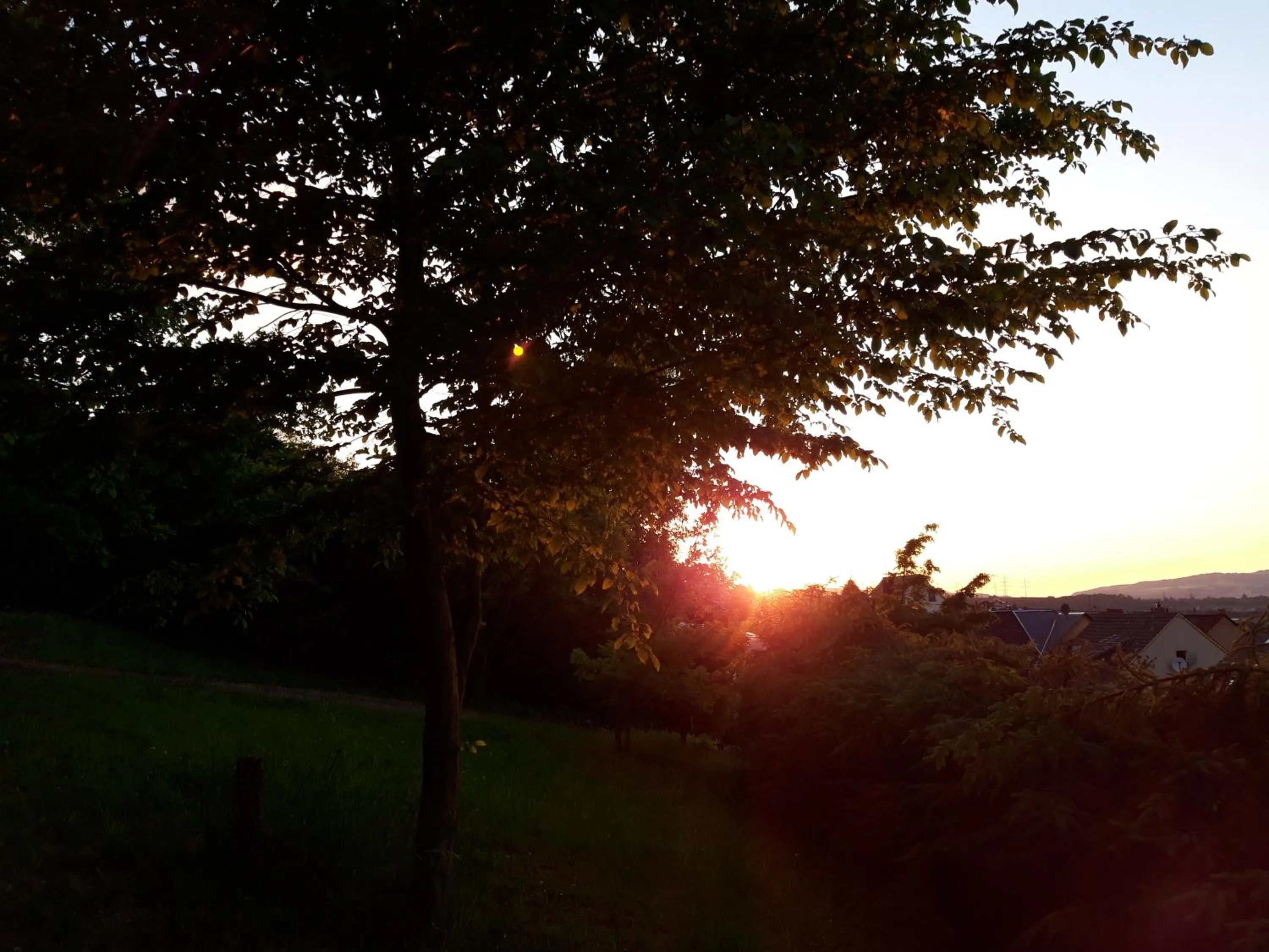 Other in Bengel's Hotel zur Krone