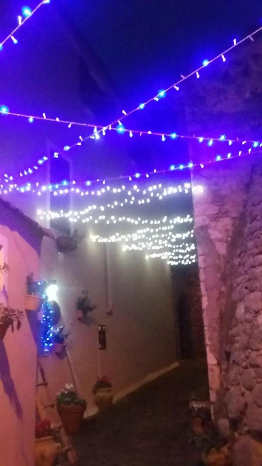 Bed and Breakfast IL CAVALIERE