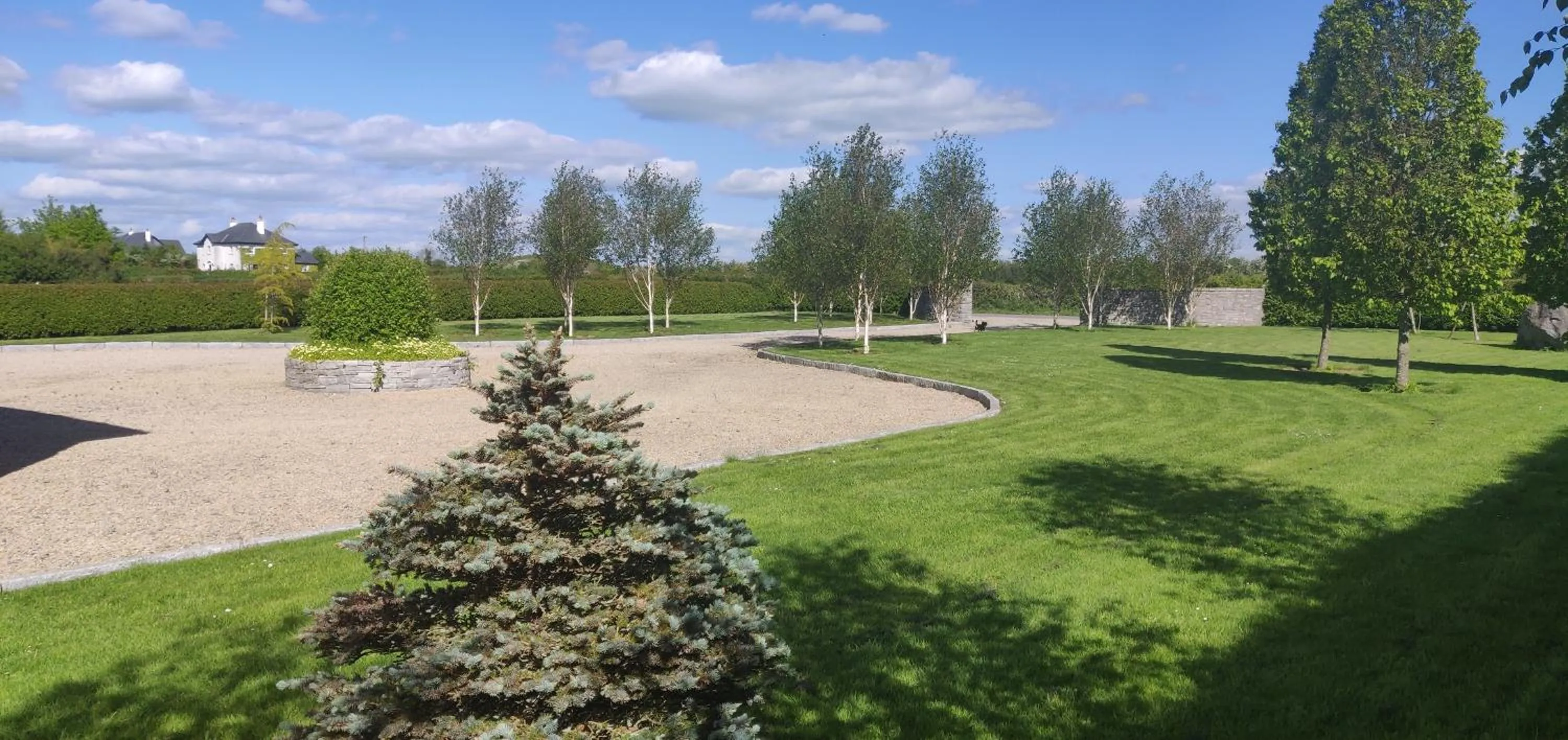 Garden view in Brona Dempsey