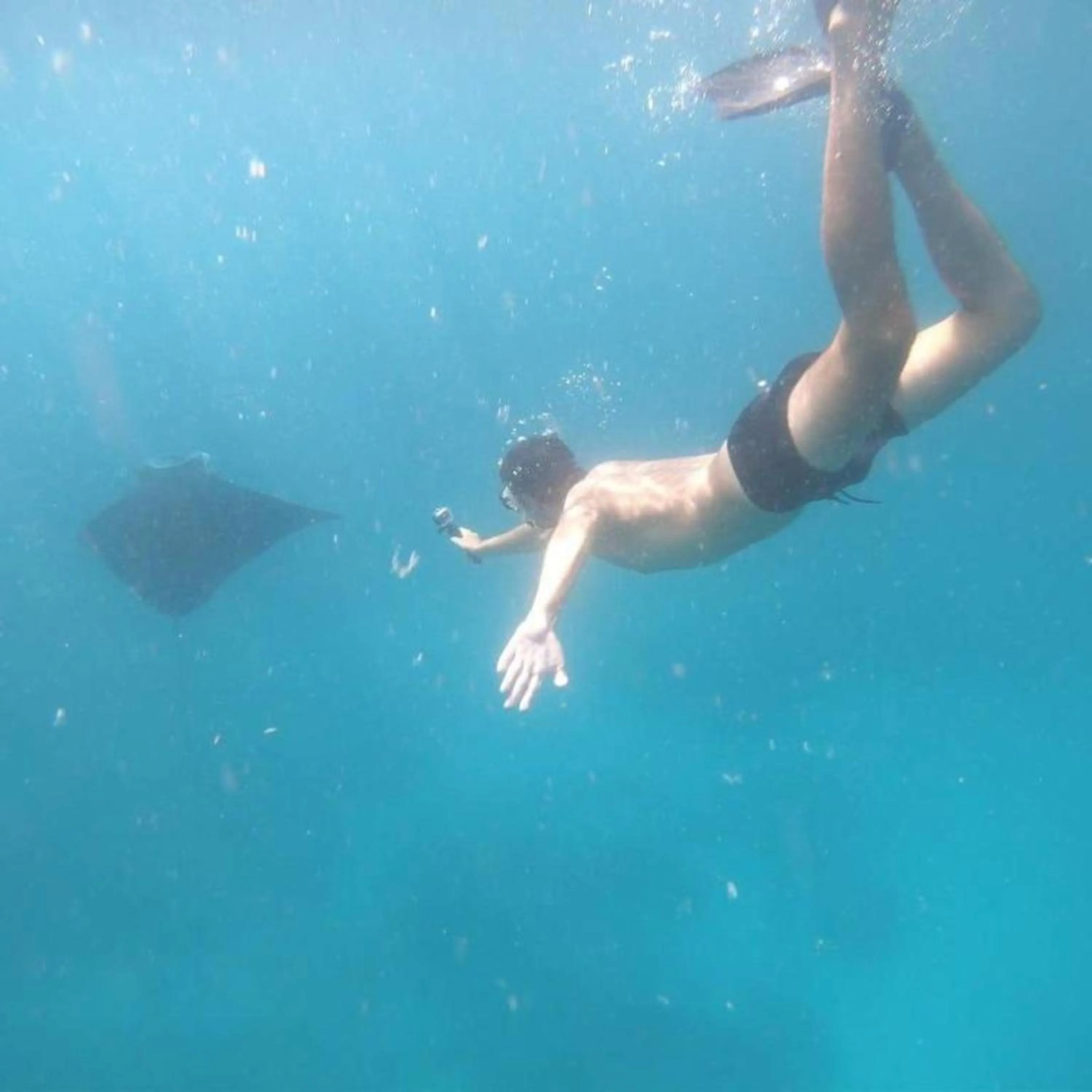 Diving in Green Kubu Asri Villa